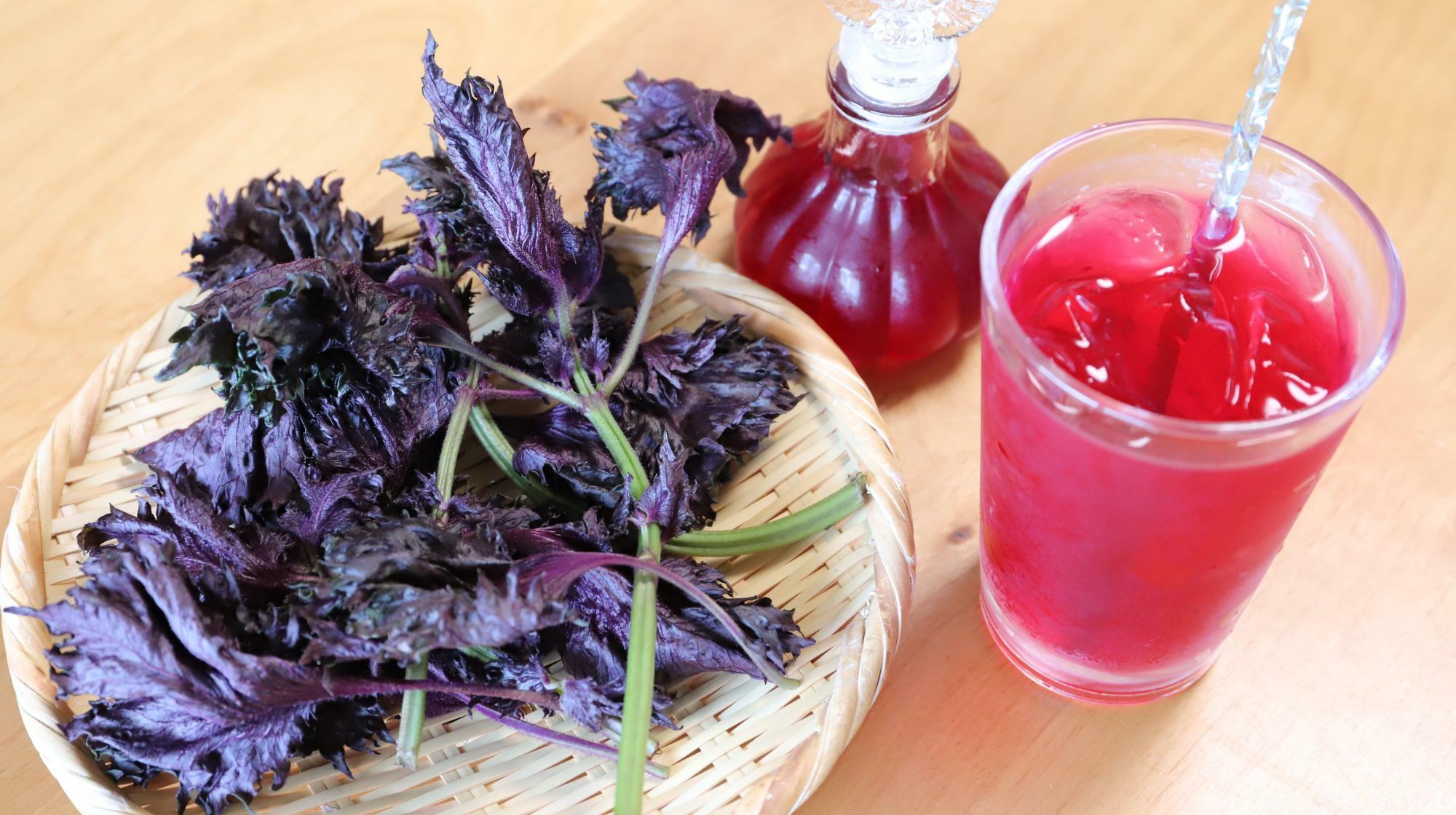 色鮮やかな赤紫蘇ジュースの炭酸割り