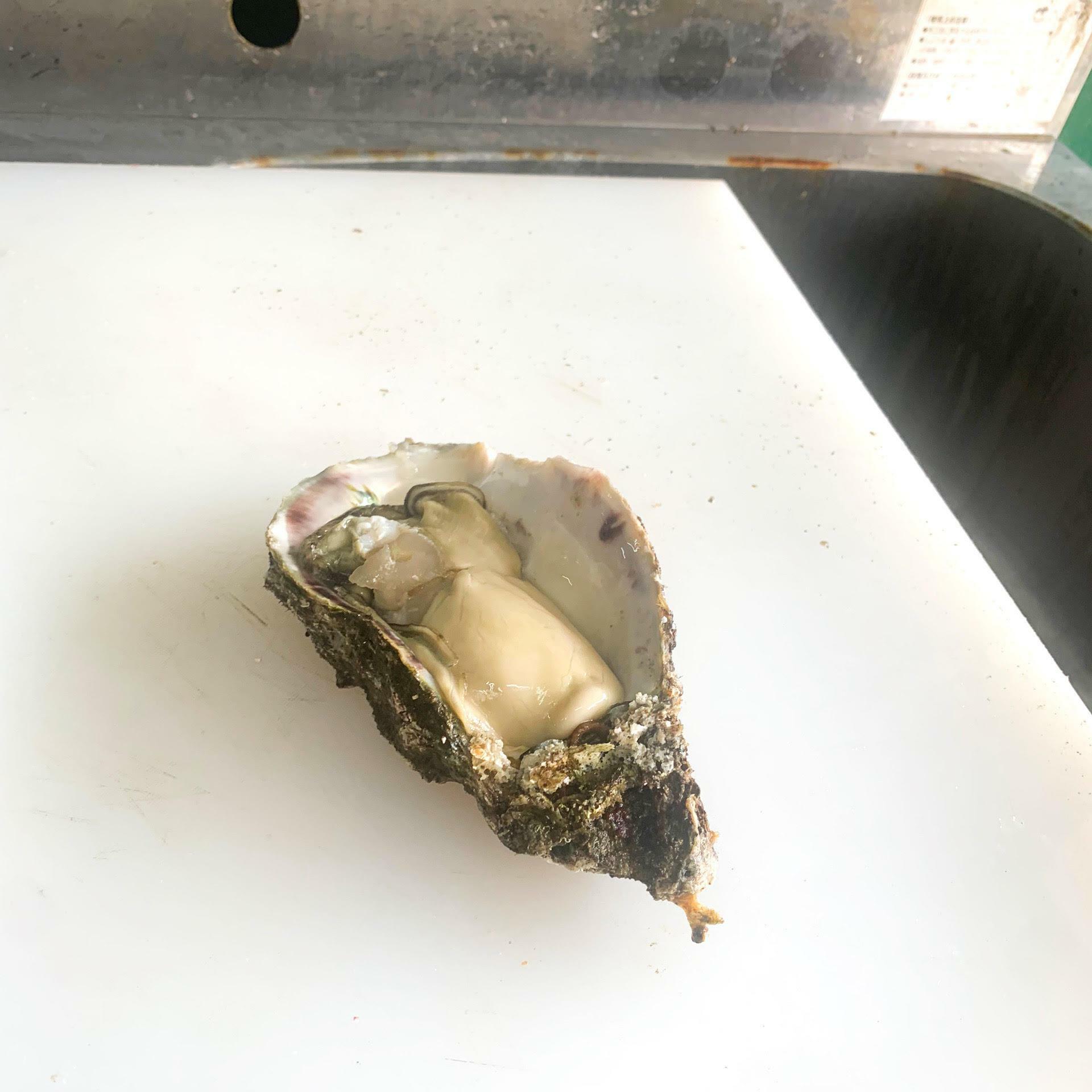 殻の中には牡蠣がみっちりと詰まっています。