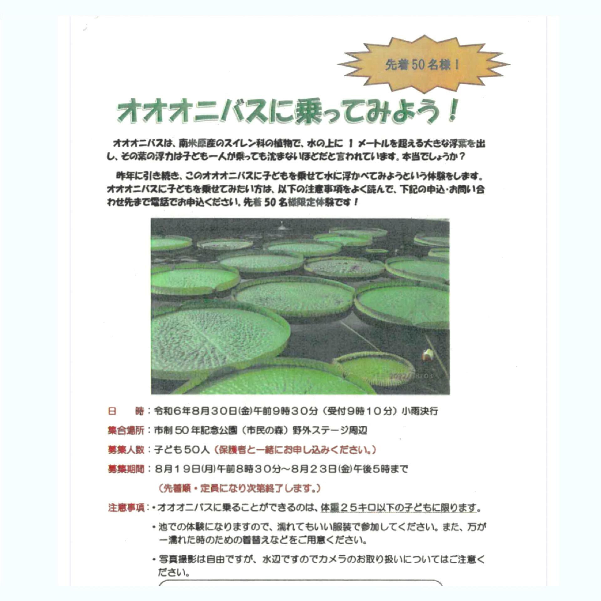 諸注意事項が幾つかありますので、参加する人は確認しておきましょう。