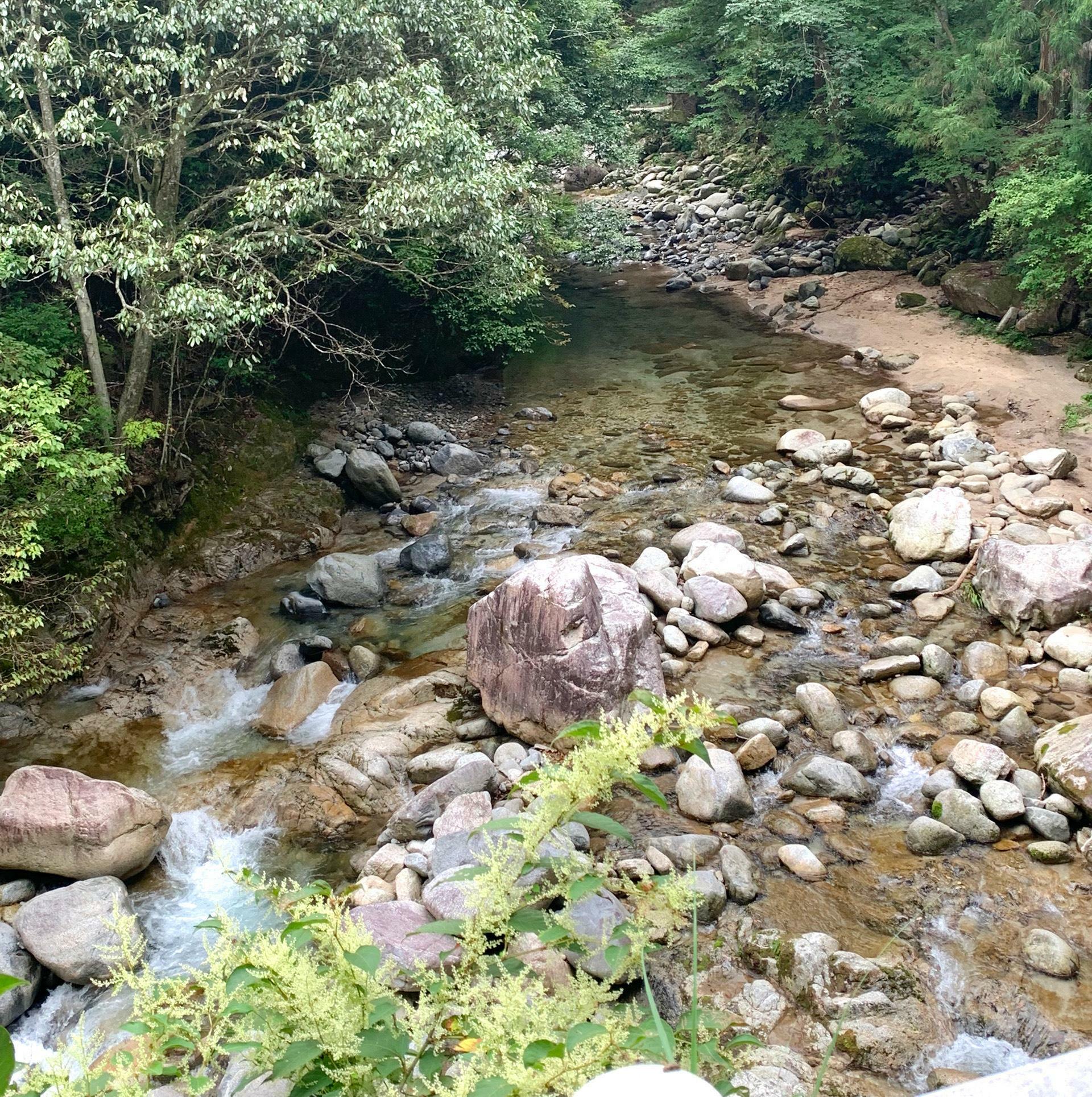 今治ならではの美しい自然。心が洗われるようですね。