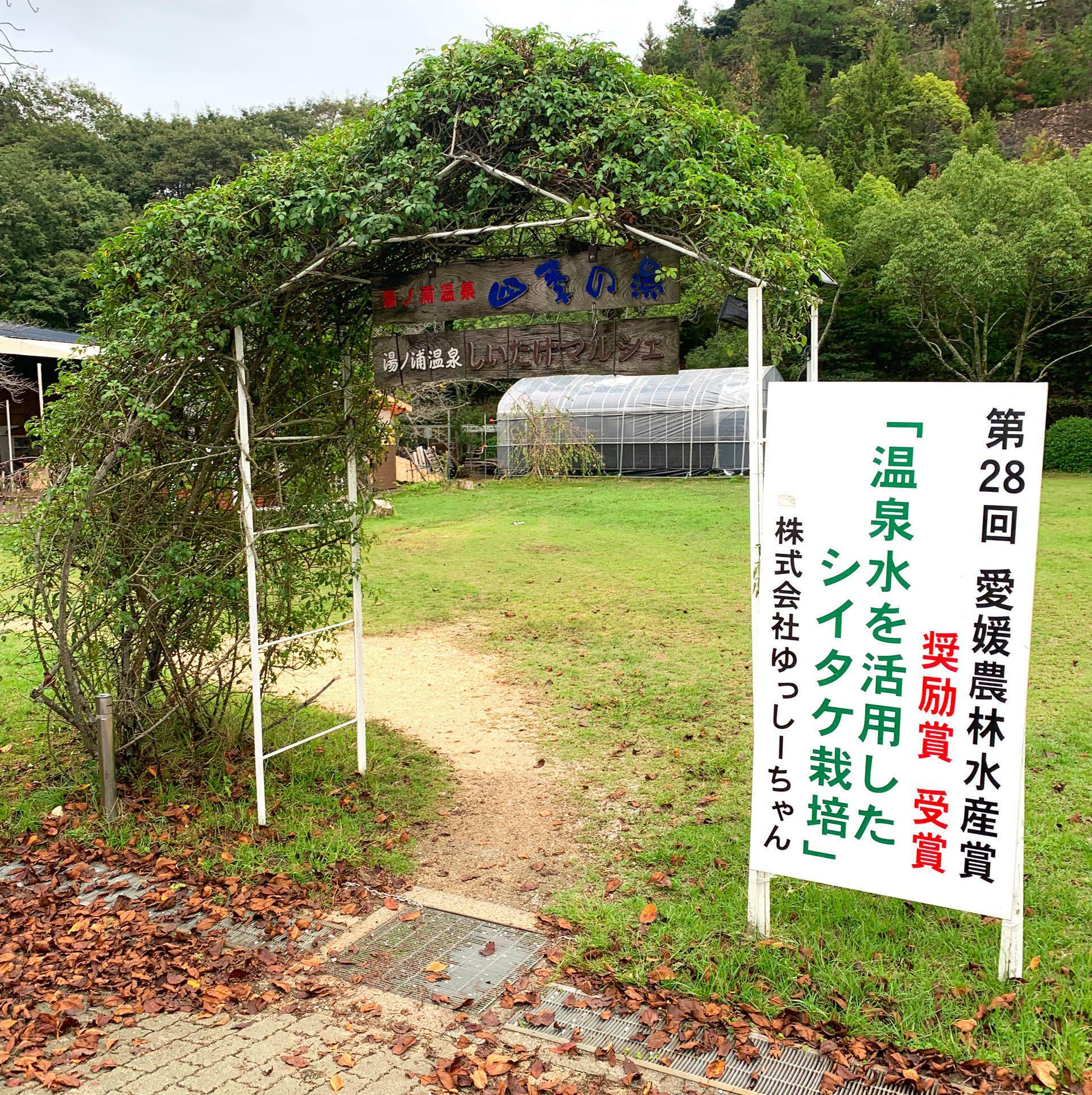 温泉と自然に恵まれた湯ノ浦ならではのイベントですね。