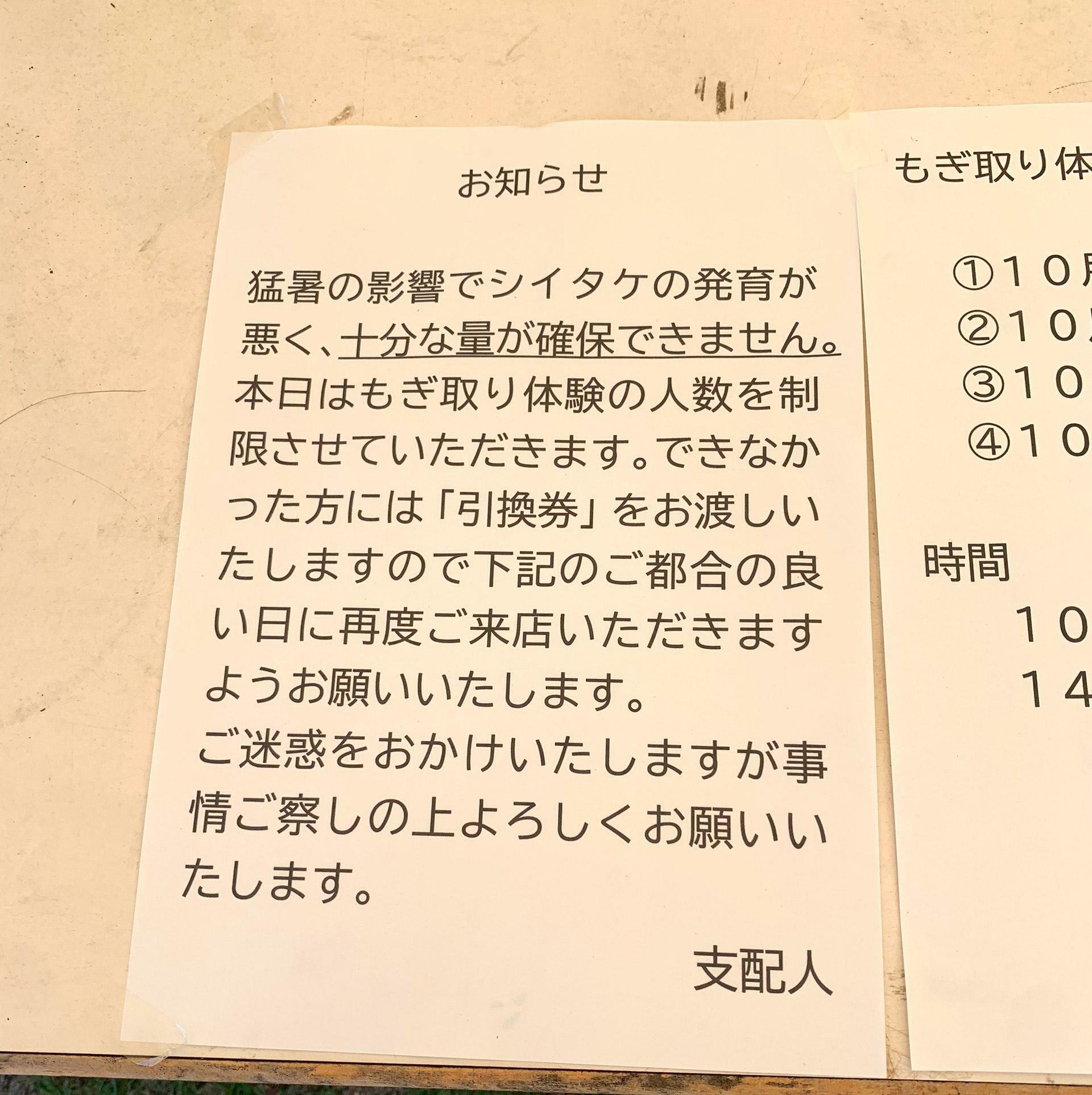 以前、取材した際にも「2024年はシイタケがあまり育たなかった。」とうかがっていました。そんな不作の中でも諦めることなくシイタケを育てたオーナー様には脱帽です。