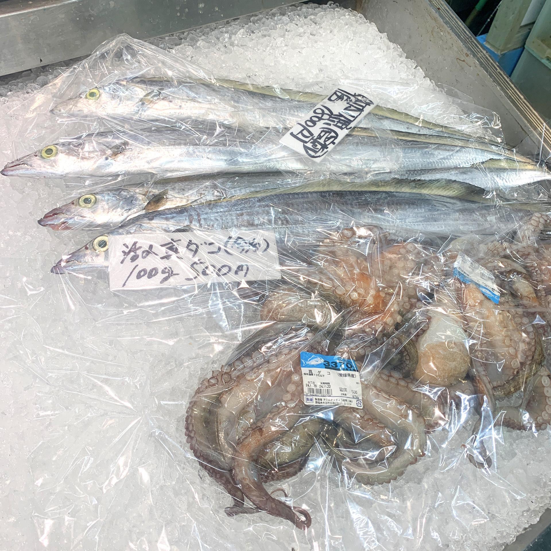 スーパーなどでは切り身にされたものが殆どですが、野生の姿そのままの魚介類を見ることができるのもさいさいきて屋の魅力の1つですね。