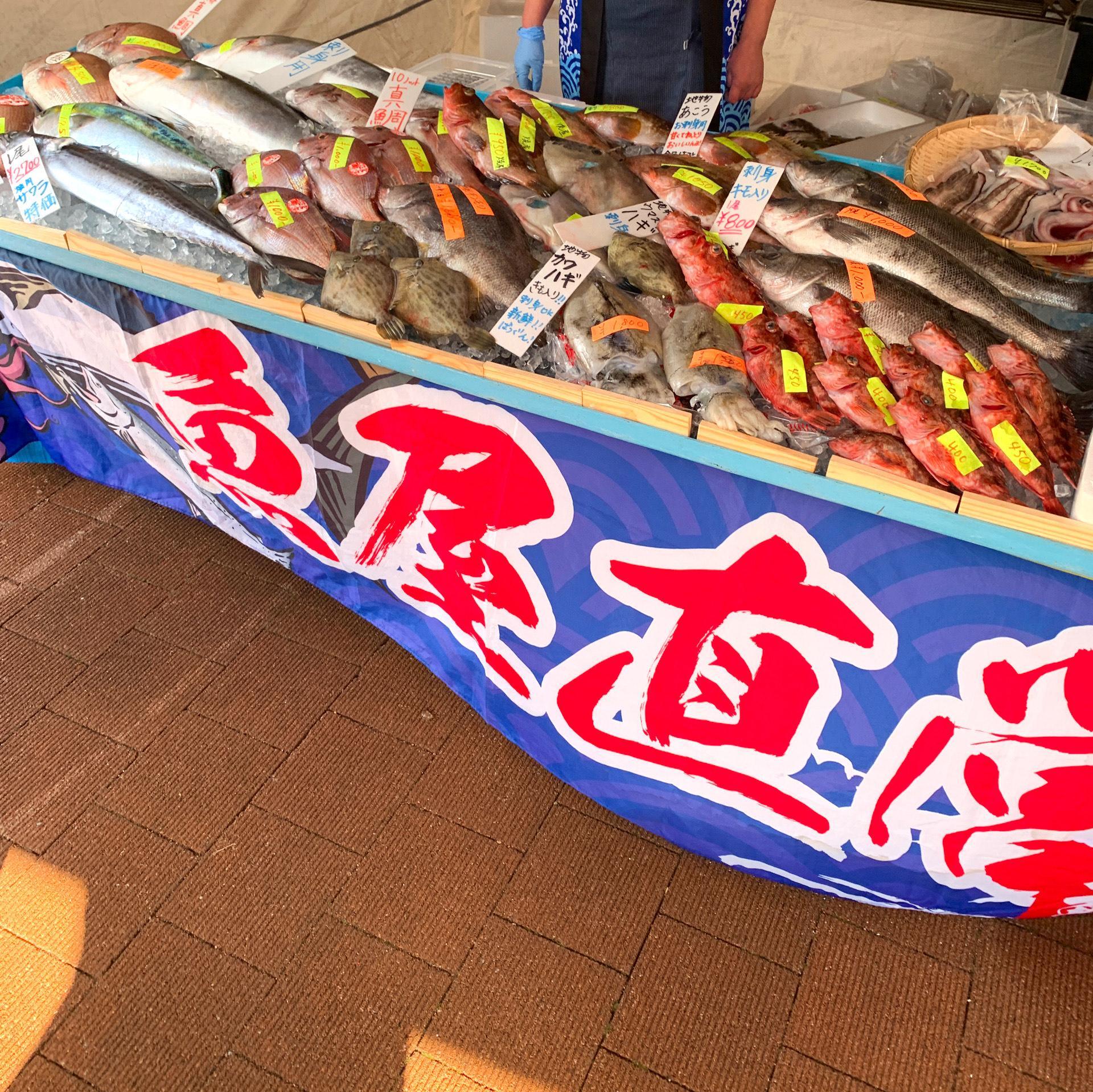 寒くなってきたからこそ、美味しくなってくる魚もたくさんありますよね。カワハギなどは冬に美味しくなる代表的な魚。肝がしっかりと詰まるこの時期のカワハギは絶品です。