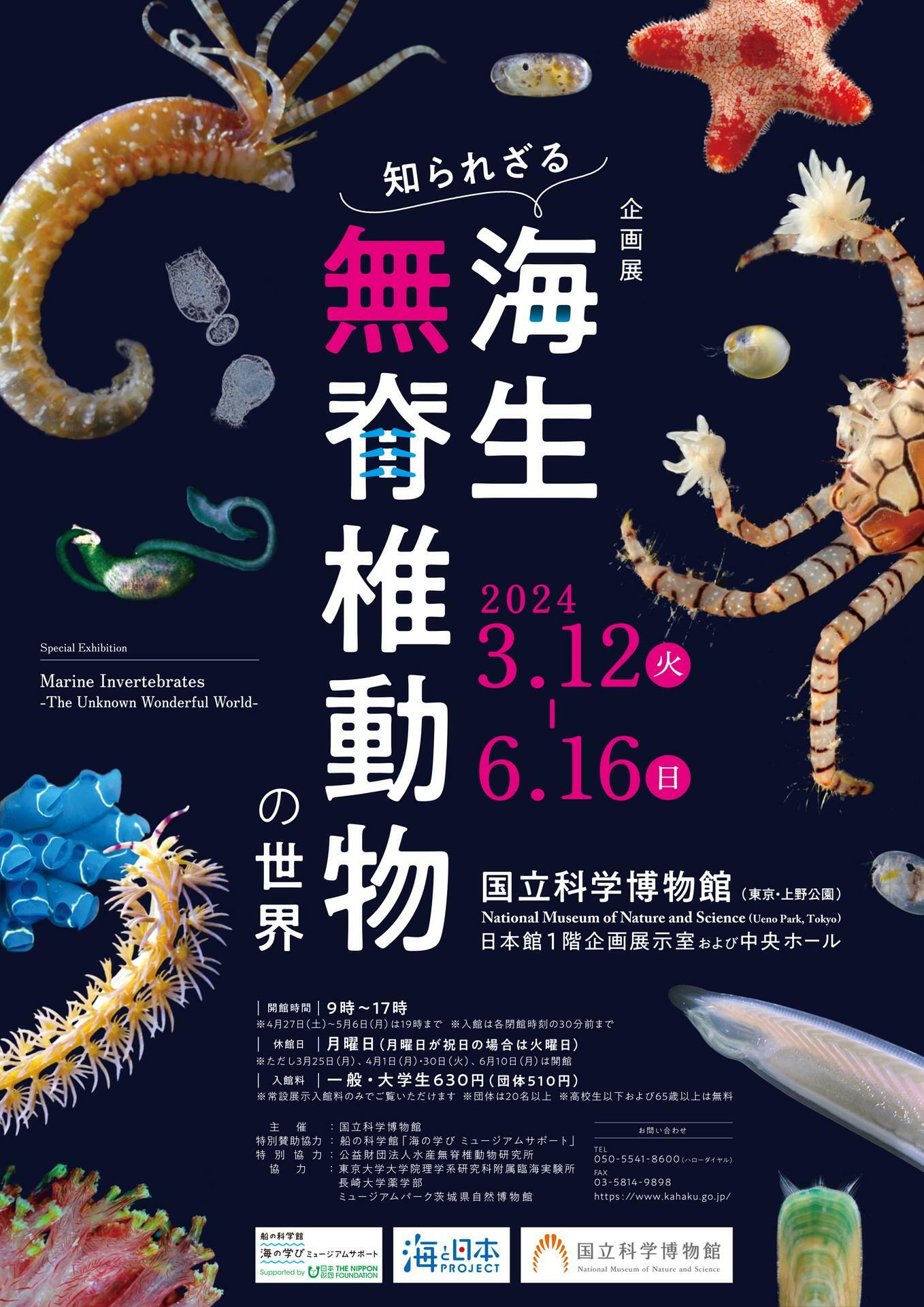 企画展「知られざる海生無脊椎動物の世界」ポスター