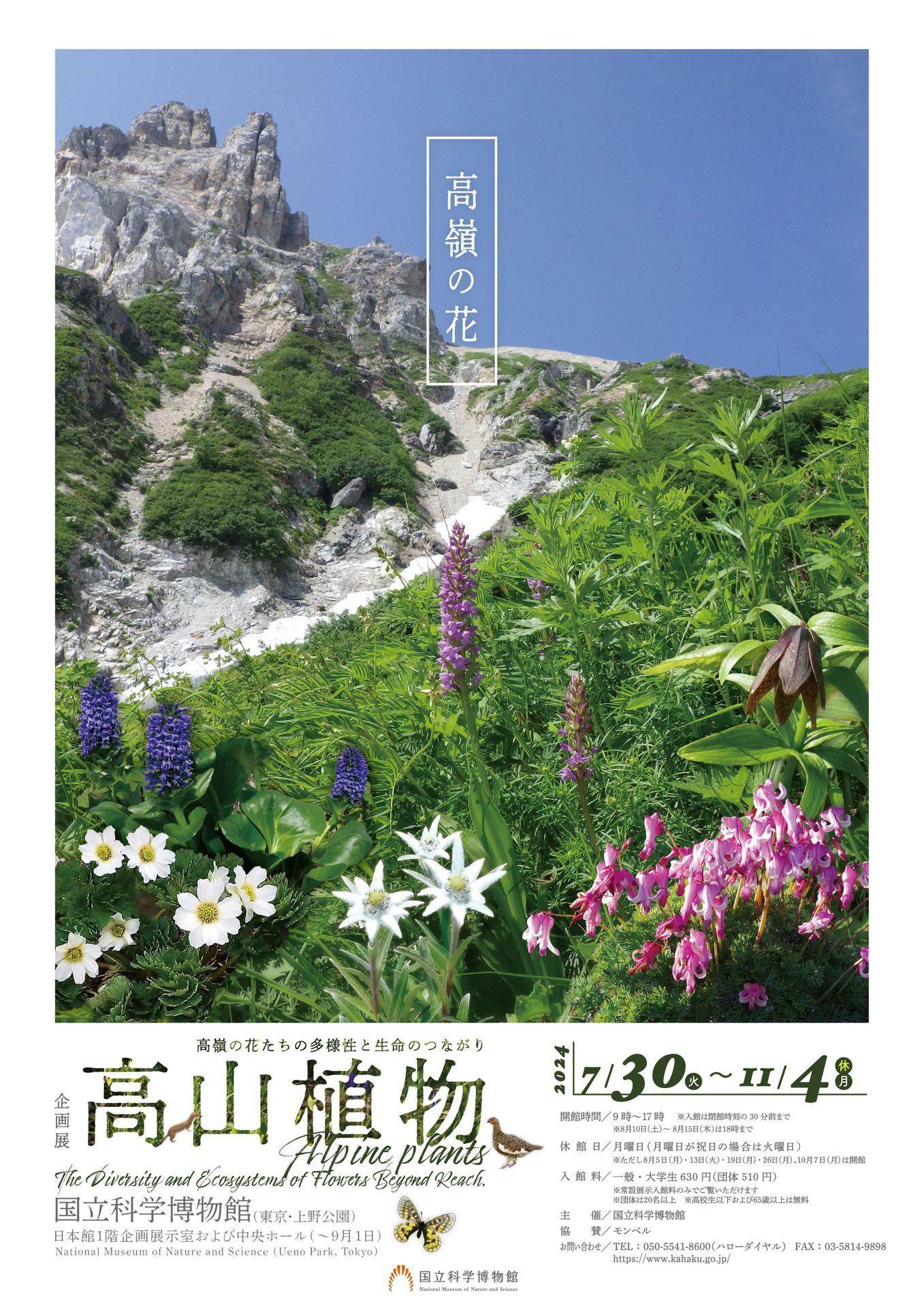 企画展「高山植物～高嶺の花たちの多様性と生命のつながり～」ポスター①