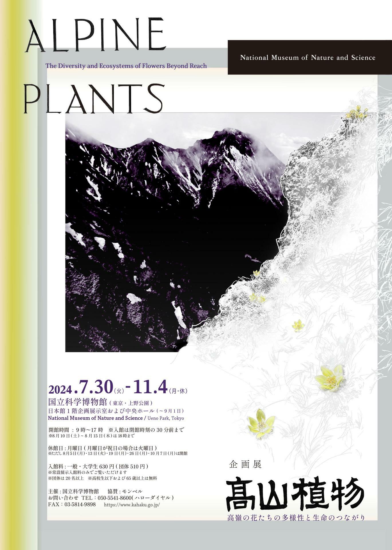 企画展「高山植物～高嶺の花たちの多様性と生命のつながり～」ポスター②