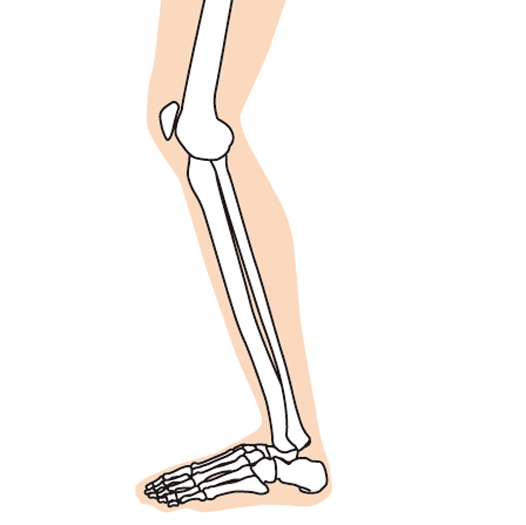 足関節