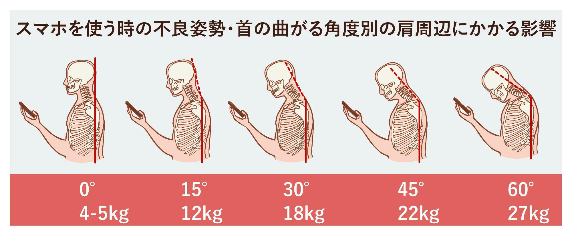 体重50KGの人の首の角度別の肩周辺への影響