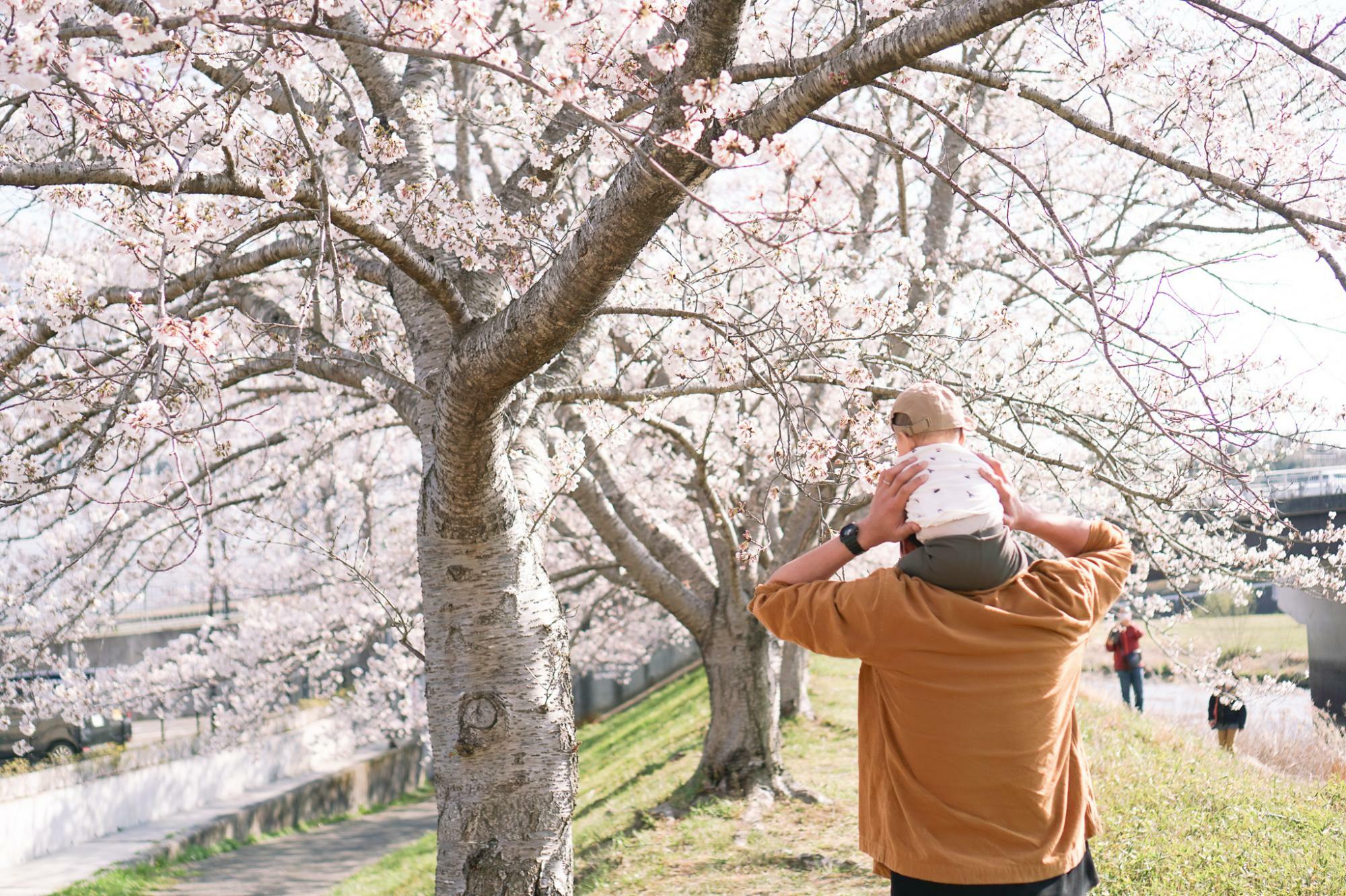 写真5:季節の変化を楽しめるようになりました