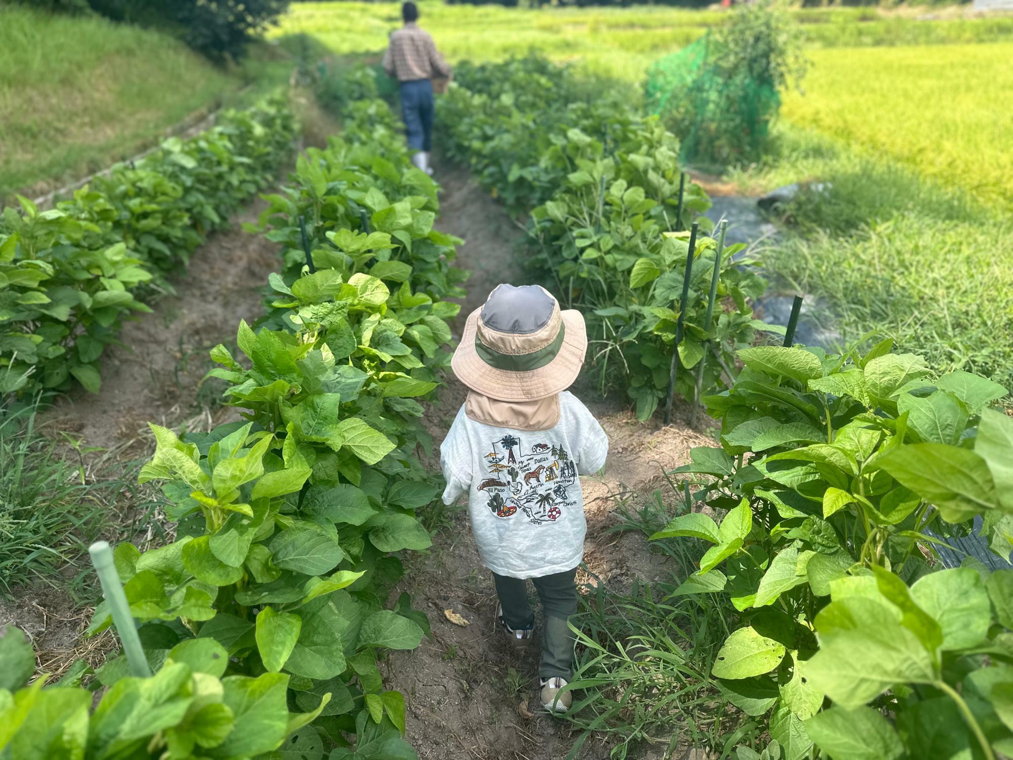 写真5: ご近所さんは子どもたちを孫のように可愛がってくれる