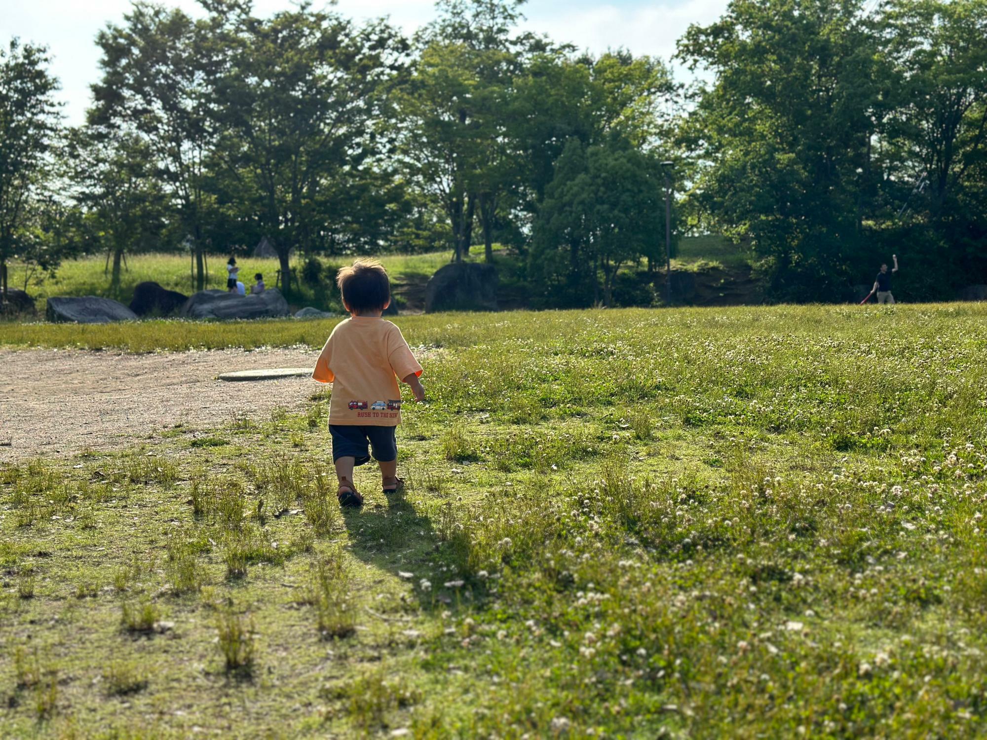 NISAなどを活用して余剰資金はすべて投資にまわしています