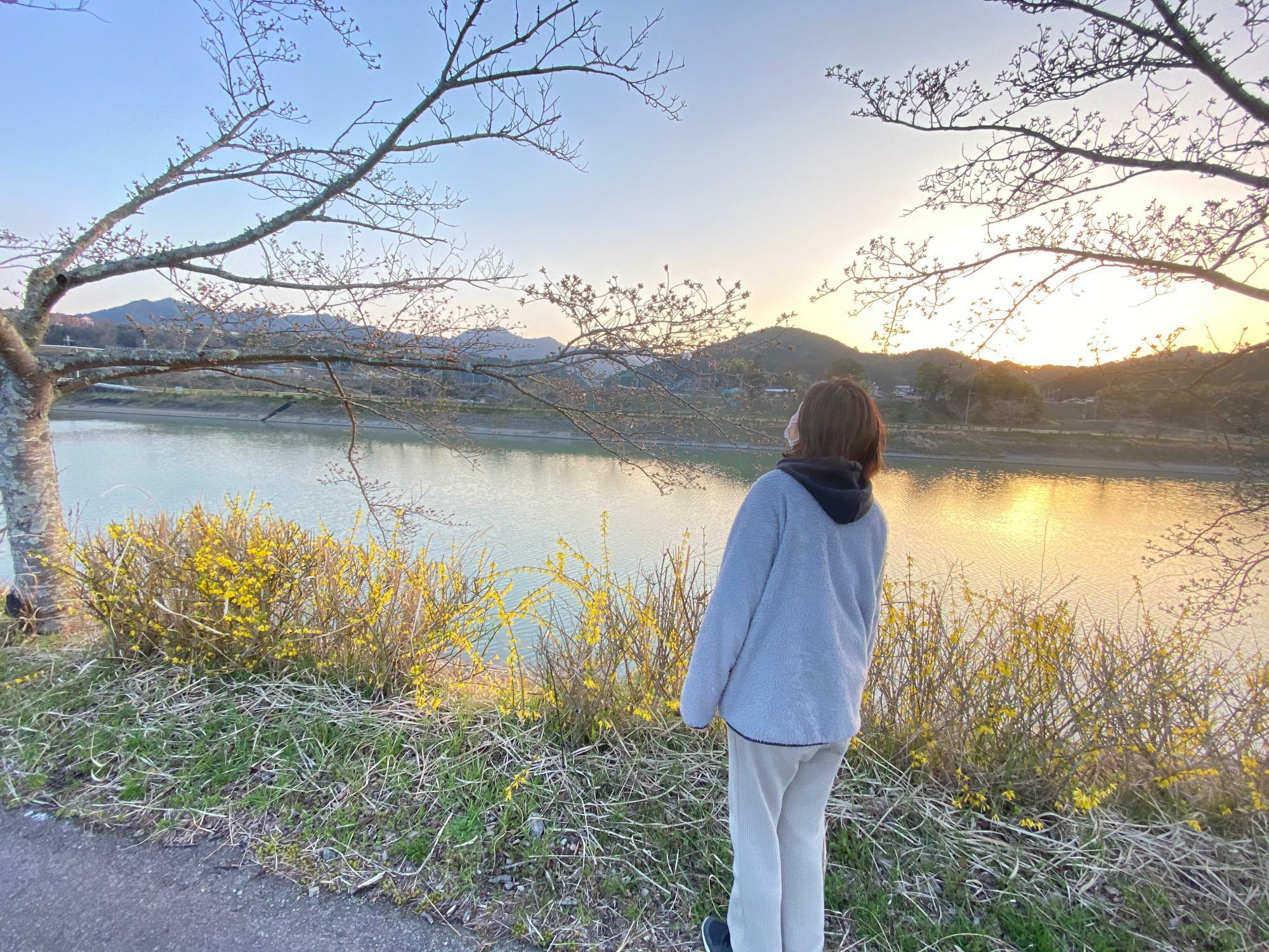 兵庫県の丹波篠山市に移住