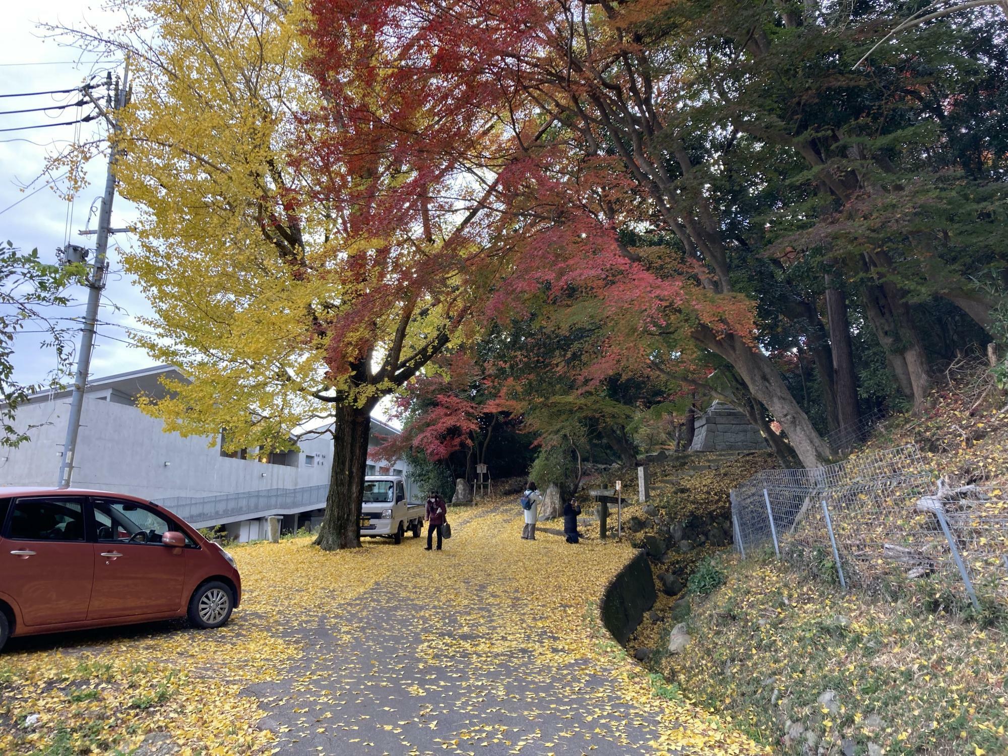 ※過去に同地で撮影した画像。