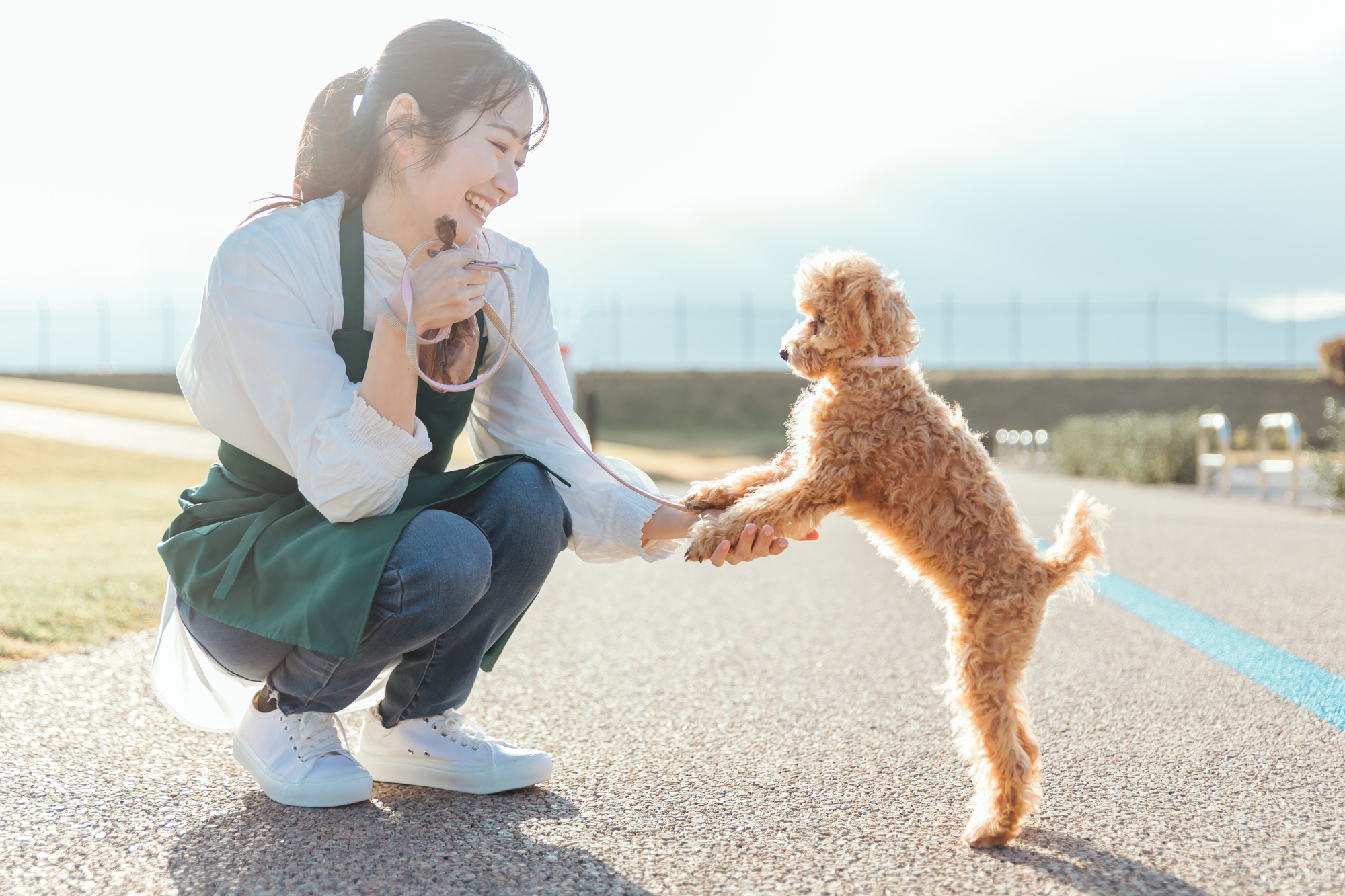 愛犬と仲良くなろう