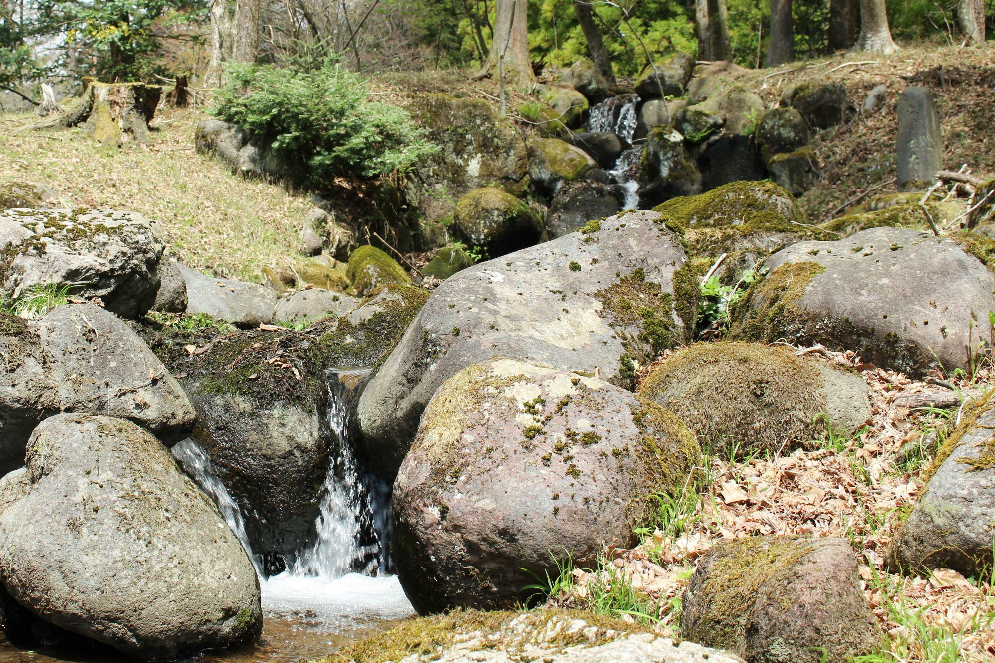 池の水は赤沢川から引き入れている。