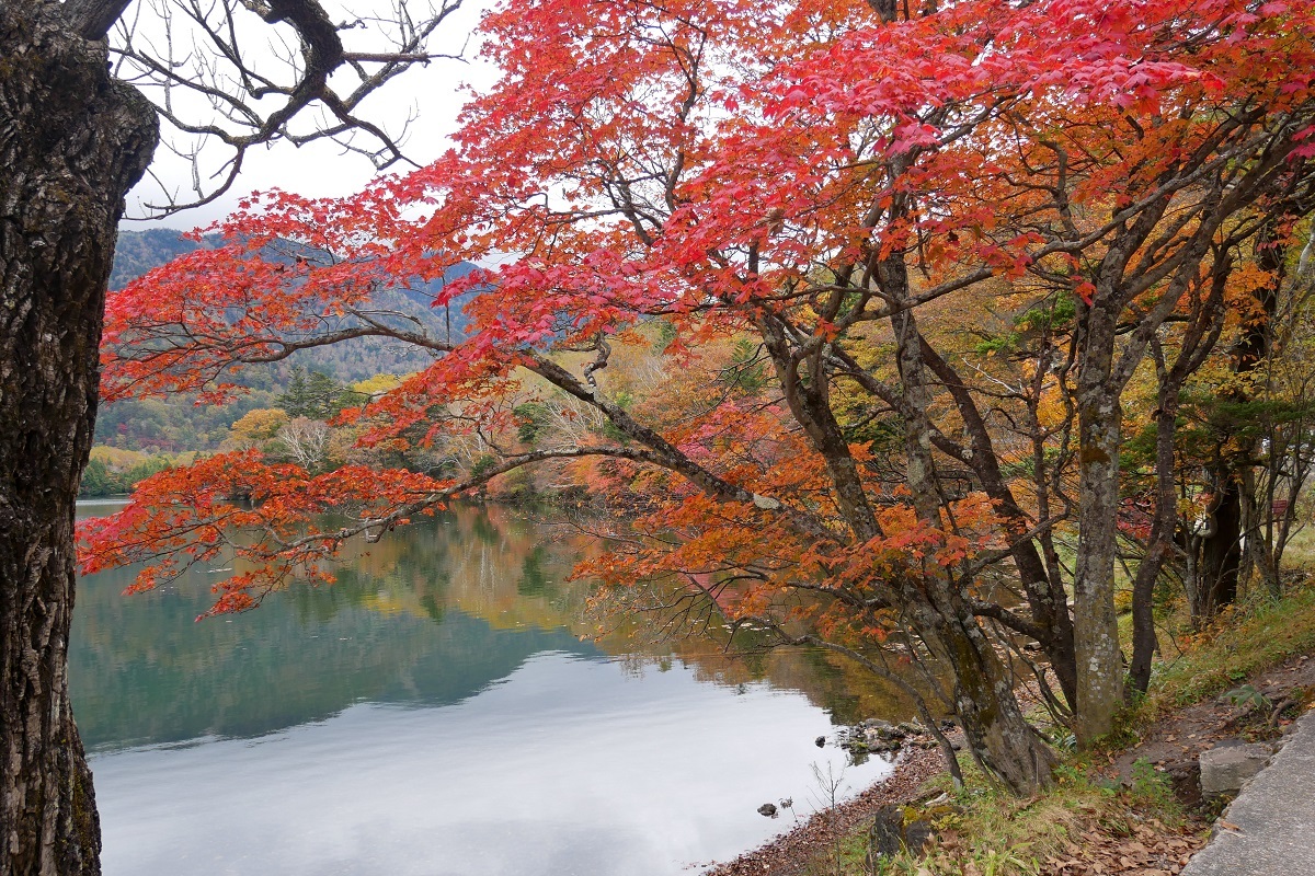 湯の湖（2022年10月17日）