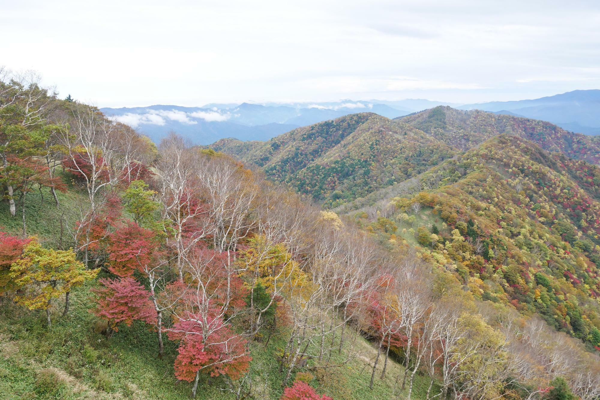 足尾方面の山々の紅葉が素晴らしい（2022年10月17日）