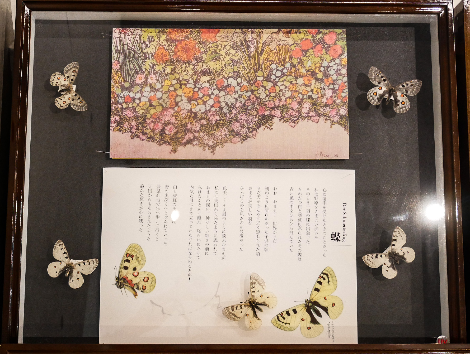 ヘルマン・ヘッセ 生誕100年記念展 カタログ 希少 帯広百年記念館特別企画展のおしらせ｜ 帯広市ホームページ 十勝