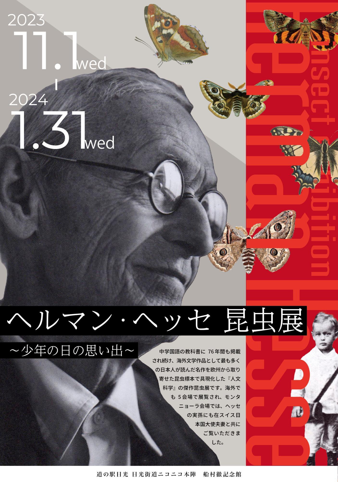 日光市】ヘルマン・ヘッセ 昆虫展！ヘッセの名文とヘッセの愛