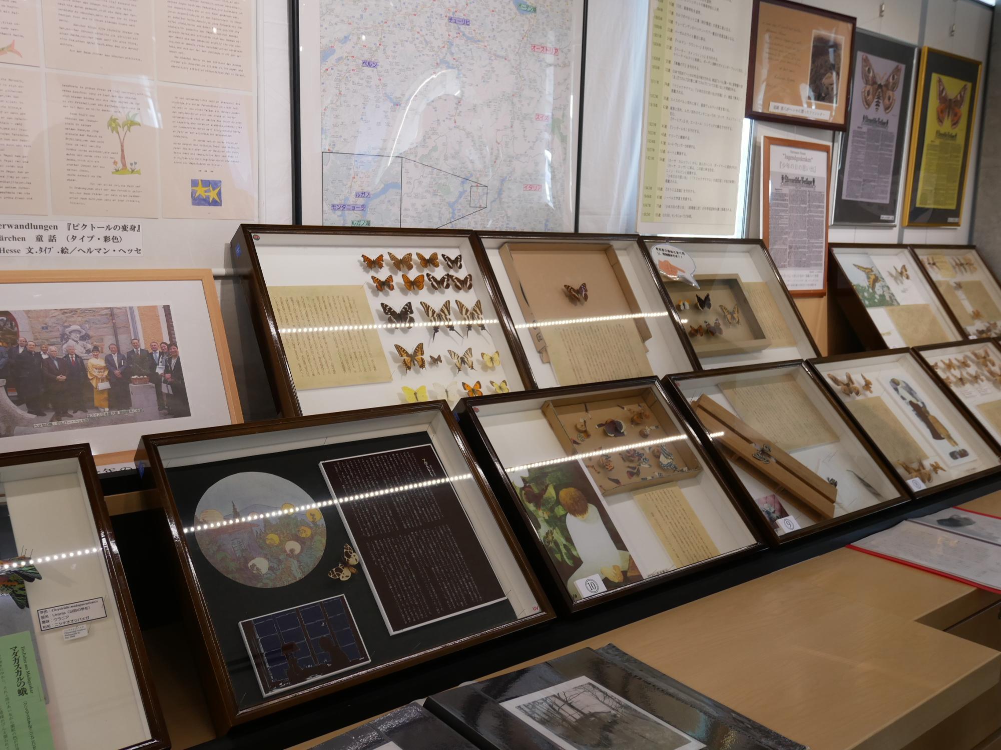 日光市】ヘルマン・ヘッセ 昆虫展！ヘッセの名文とヘッセの愛