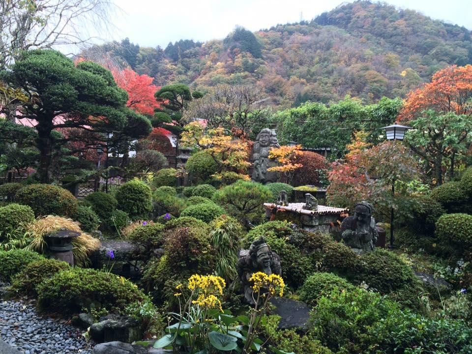 写真提供：高井家