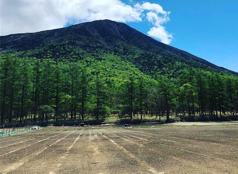 写真提供：Mt.Berry 奥日光