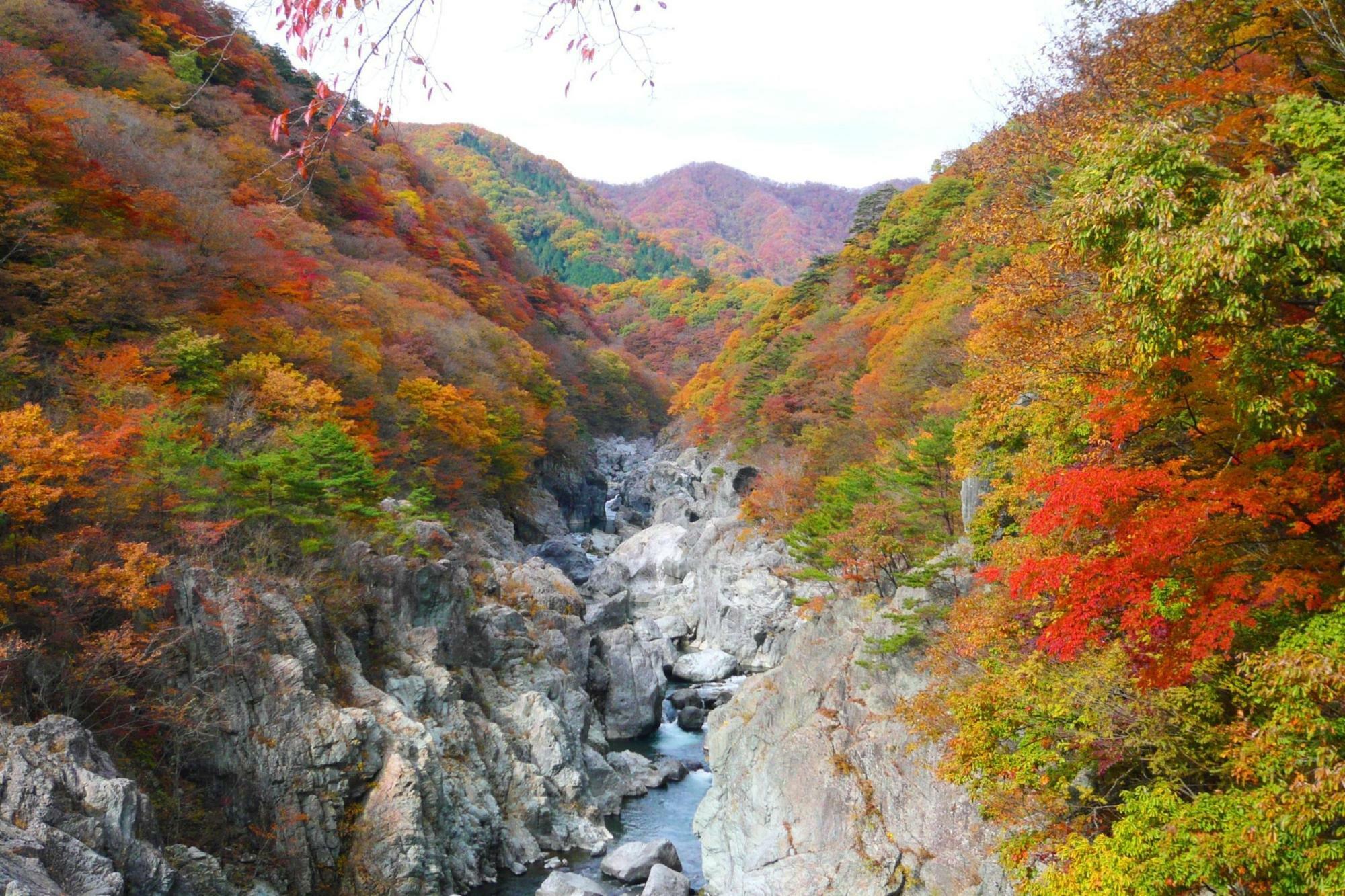 紅葉の龍王峡