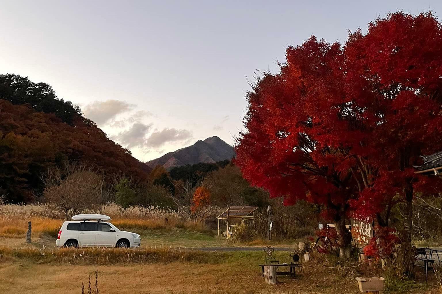 写真提供：古代村