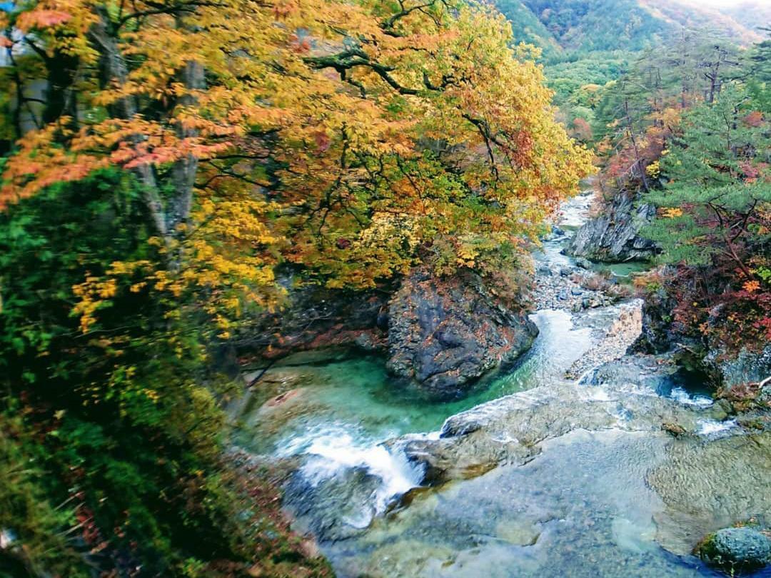 写真提供：お食事 山野草 不動滝