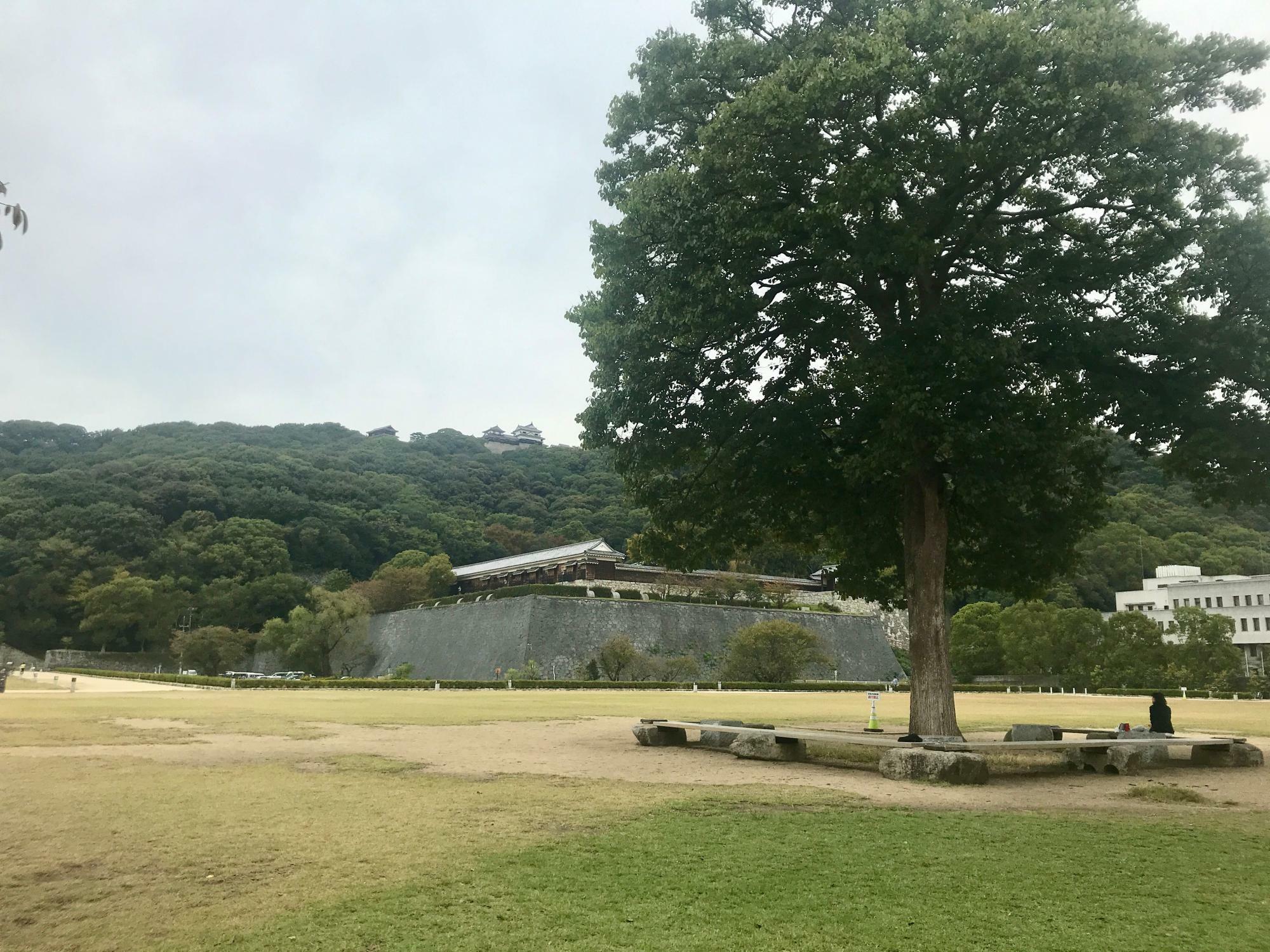 城山公園