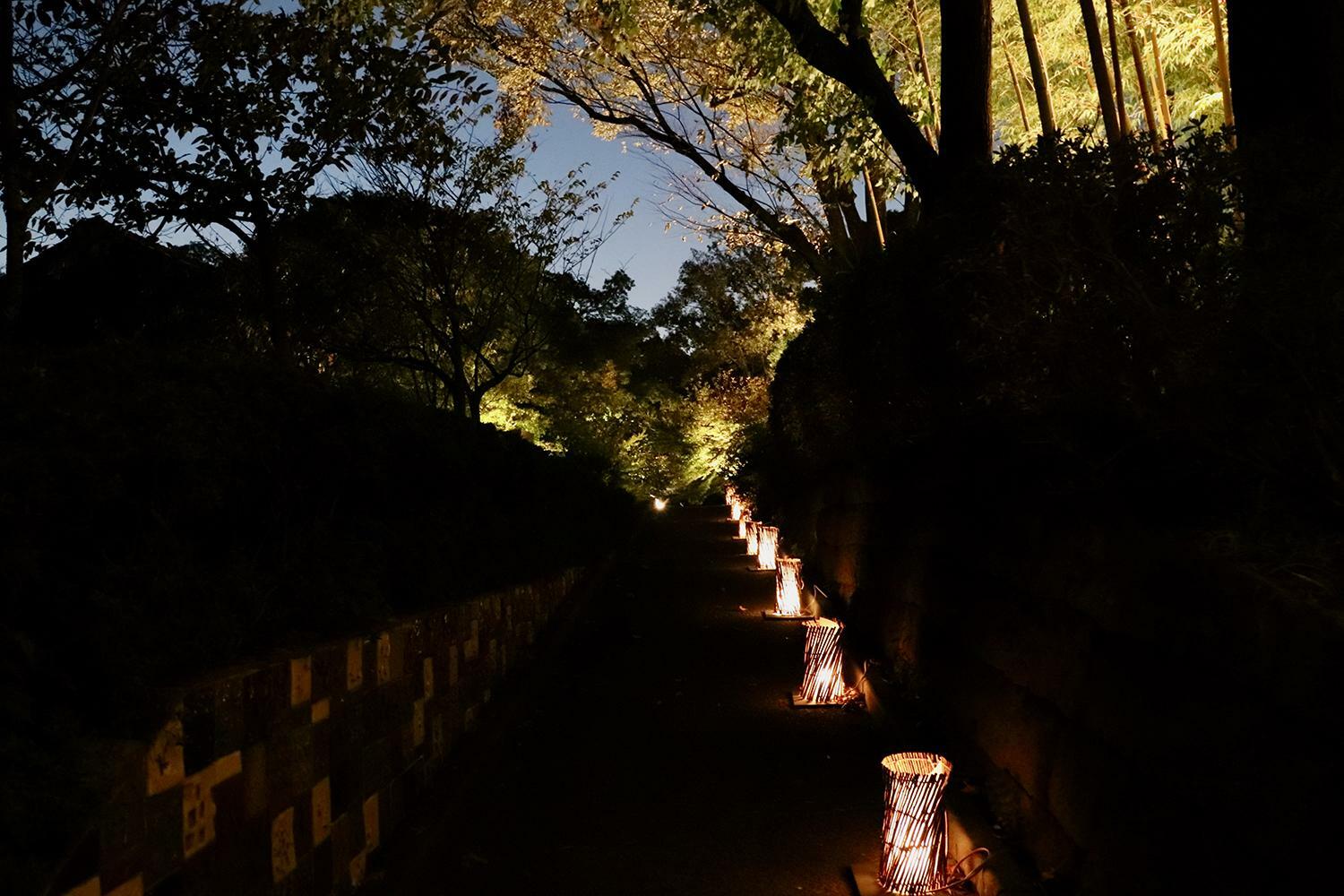 睡蓮とバラの庭から坂本繁二郎旧アトリエに向かうアプローチ。