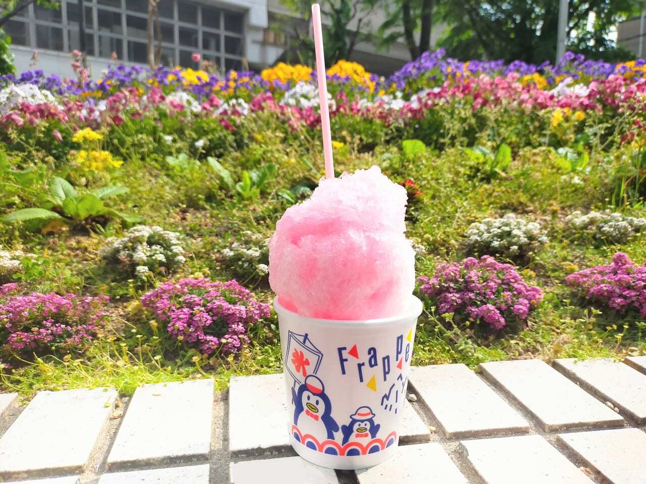枚方市】創業昭和27年 レトロな雰囲気 有名かき氷屋さん「枚方凍 枚方市】創業昭和27年 レトロな雰囲気 有名かき氷屋さん「枚方凍