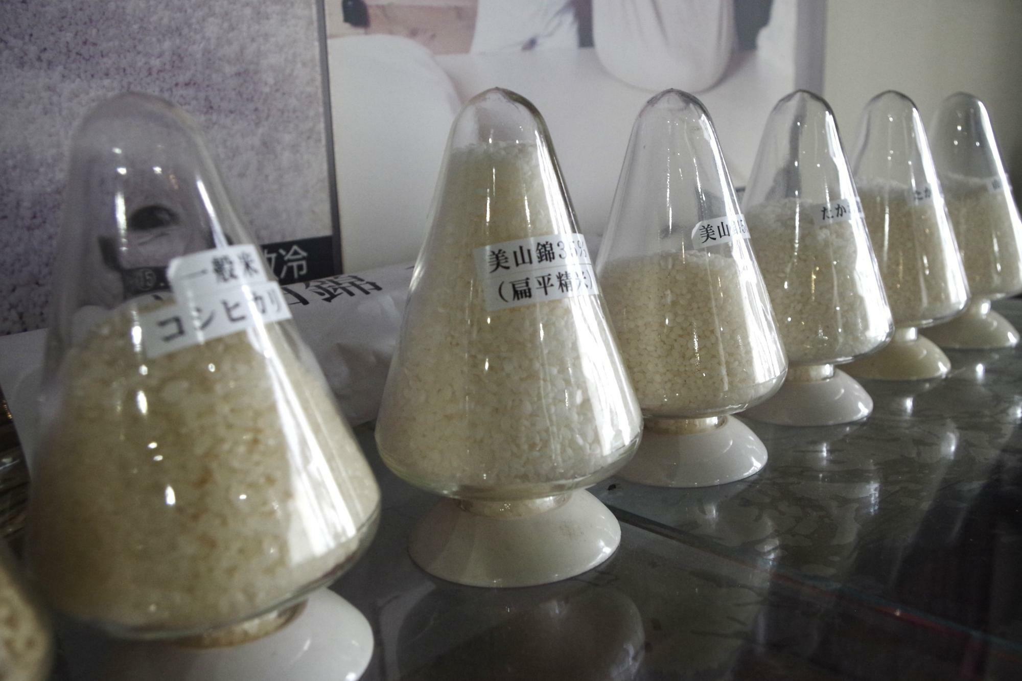 食用米と酒米の比較展示