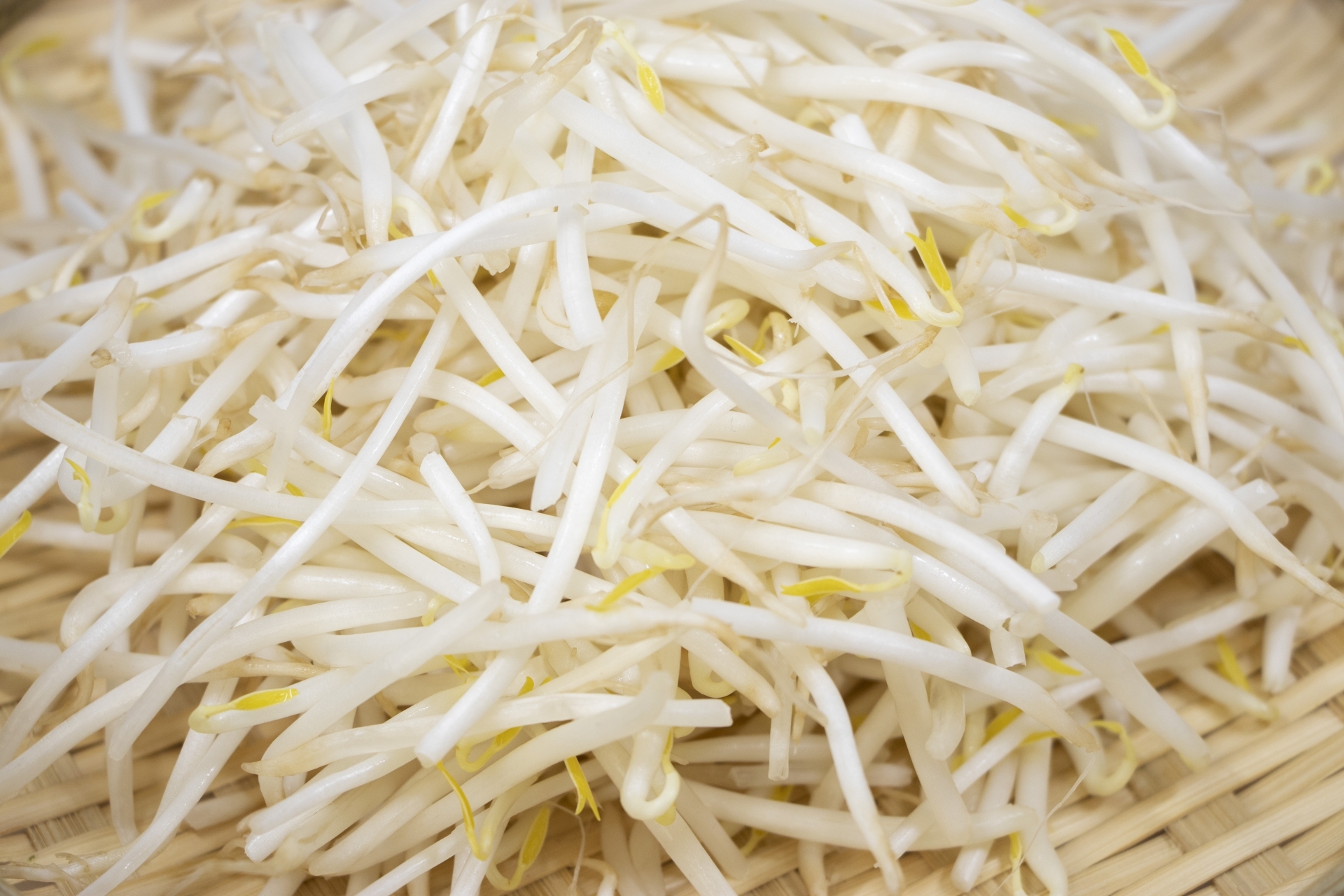 シャキシャキ食感を長く楽しめます!