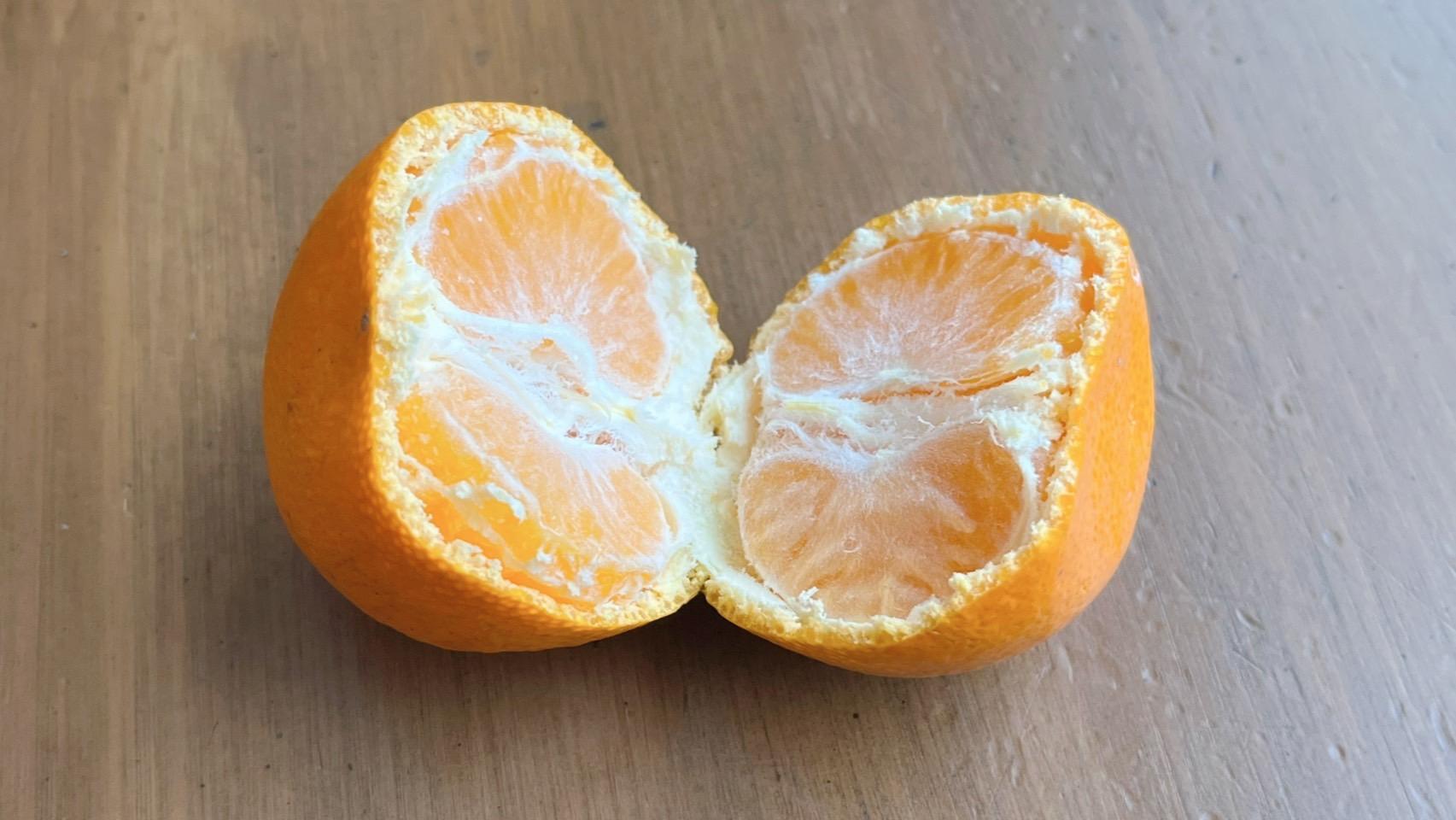 みかん　スラムに水は流れない & わたしは食べるのが下手 スラムに水は流れない」読書感想文 - がとーほーむ