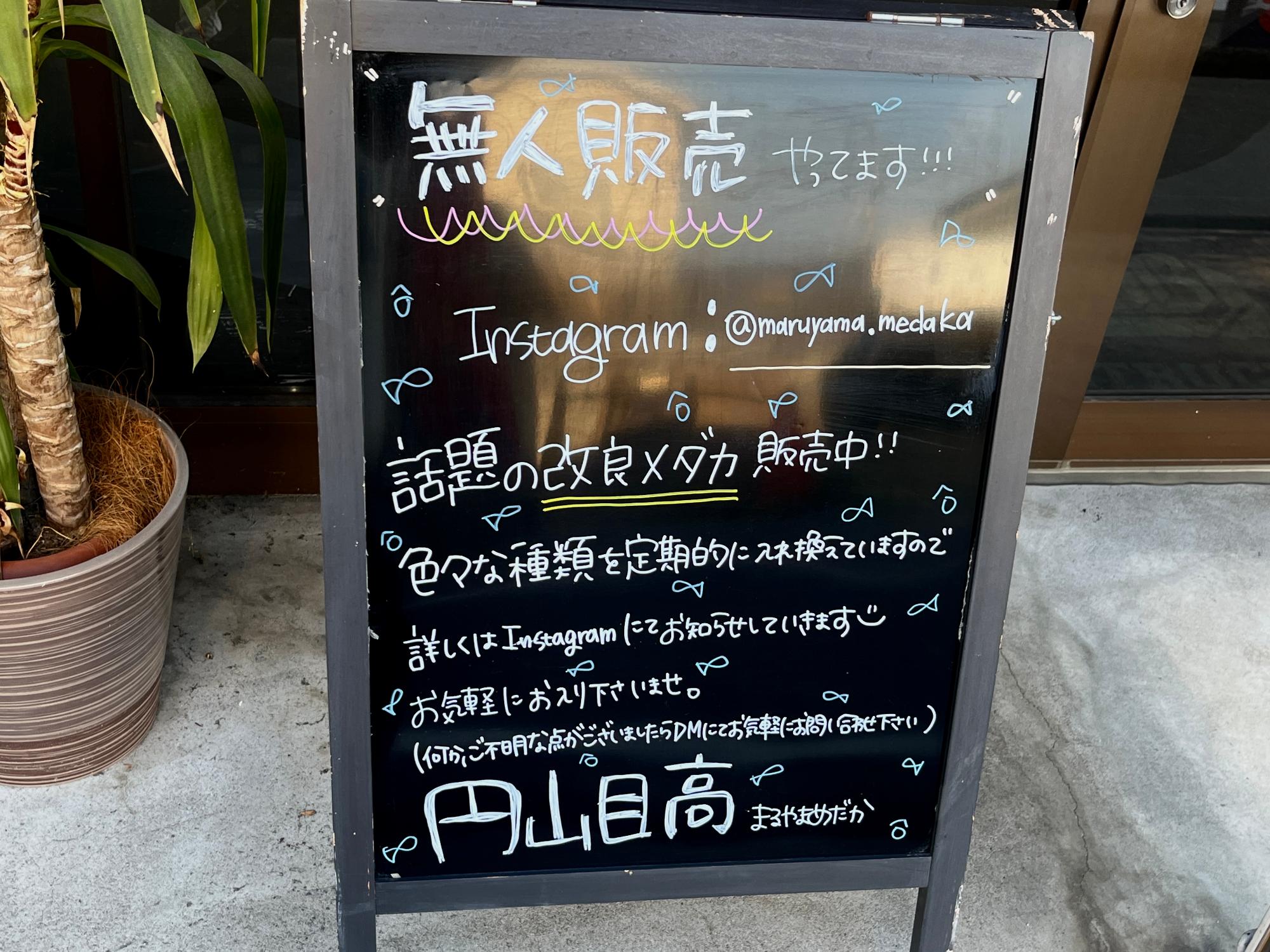 堺市北区】マリアージュに夜桜、琥珀ラメ・・・大人気ペットの「無人 ...