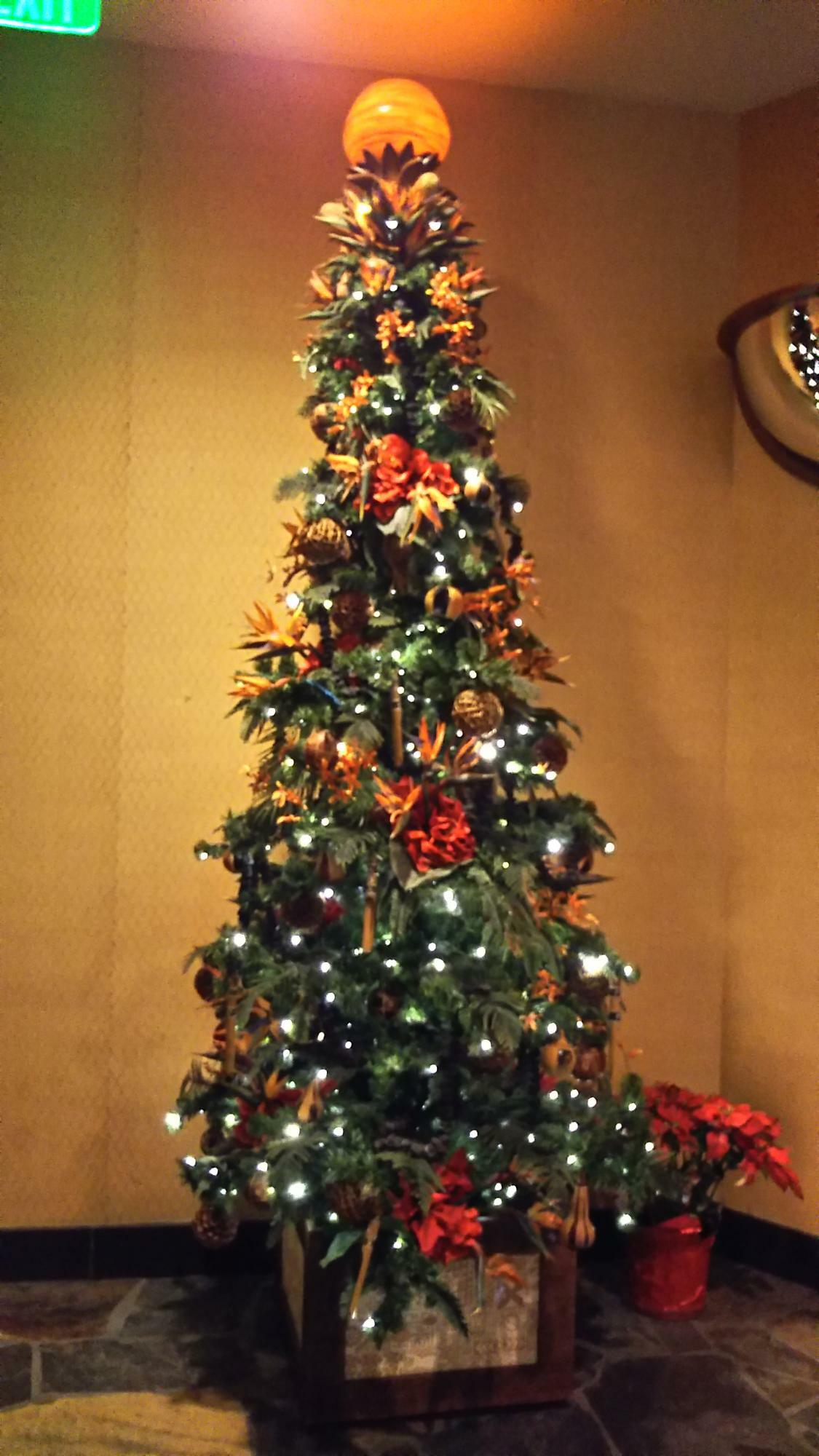 クリスマスツリー（米国ハワイ州オアフ島内 アウラニ・ディズニーリゾート内にて2018年撮影）