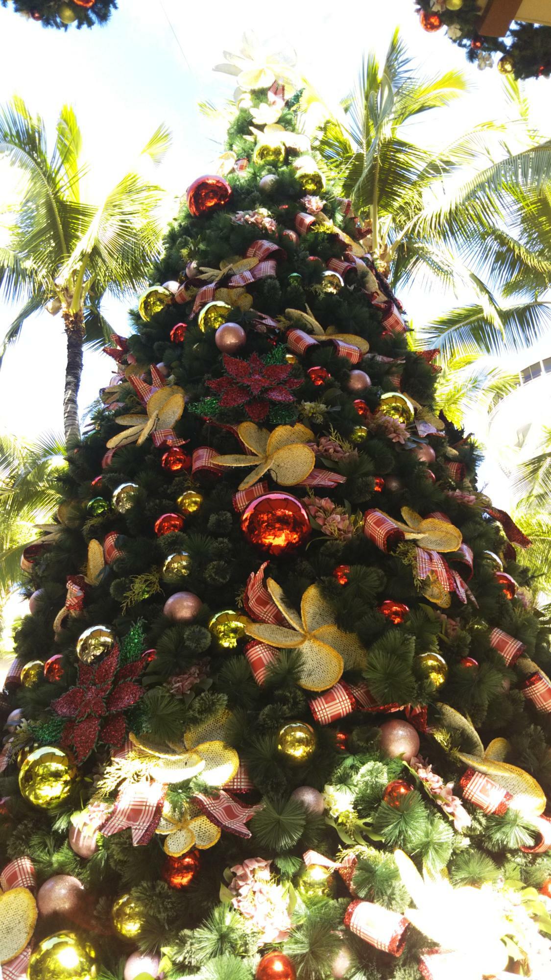 ハワイ州オアフ島内の大型商業施設「ロイヤルハワイアンセンター」では、当施設前に大きなクリスマスツリーが飾られる。その輝きは年を超えても健在であり、お正月を迎えても楽しめる（2018年筆者撮影）。