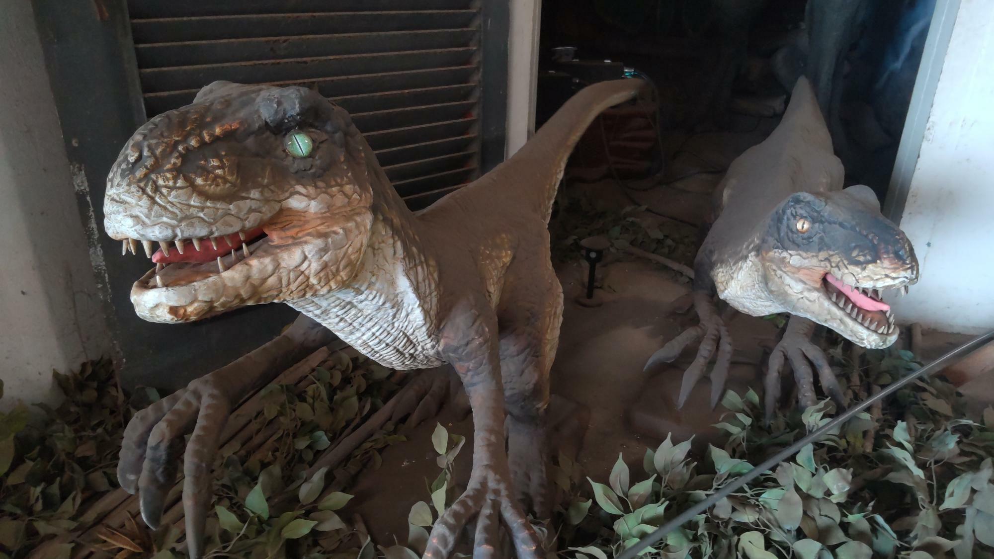 クアロア・ランチでは、牧場内で撮影された数多くの映画ロケ地を周遊する「映画村ツアー」が観光客向けに行なわれているほか、ツアーの最中にはジュラシック・ワールドの恐竜たちにも遭遇することができる。