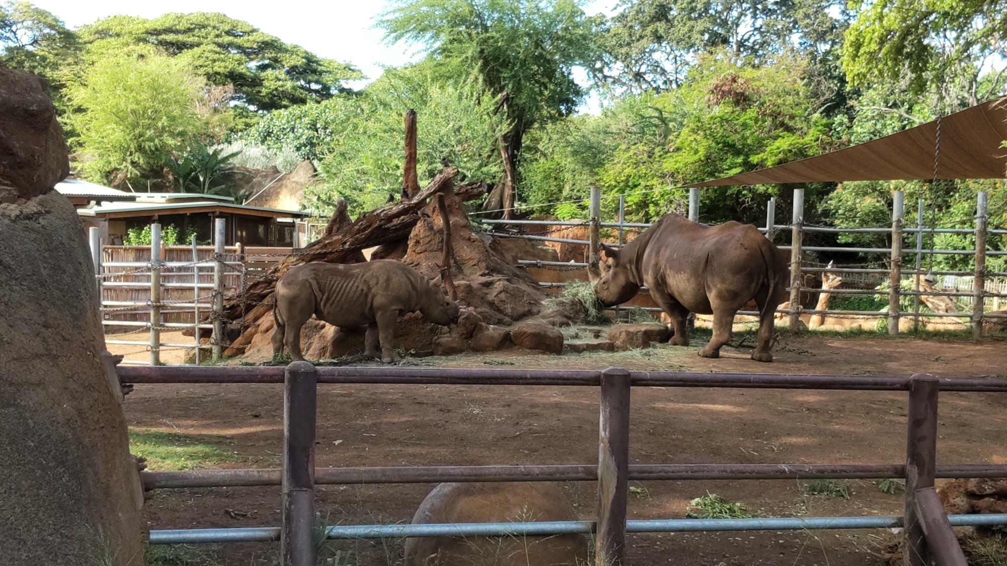 ☆米国ハワイ州オアフ島内ホノルル「Honolulu Zoo」にて筆者撮影。