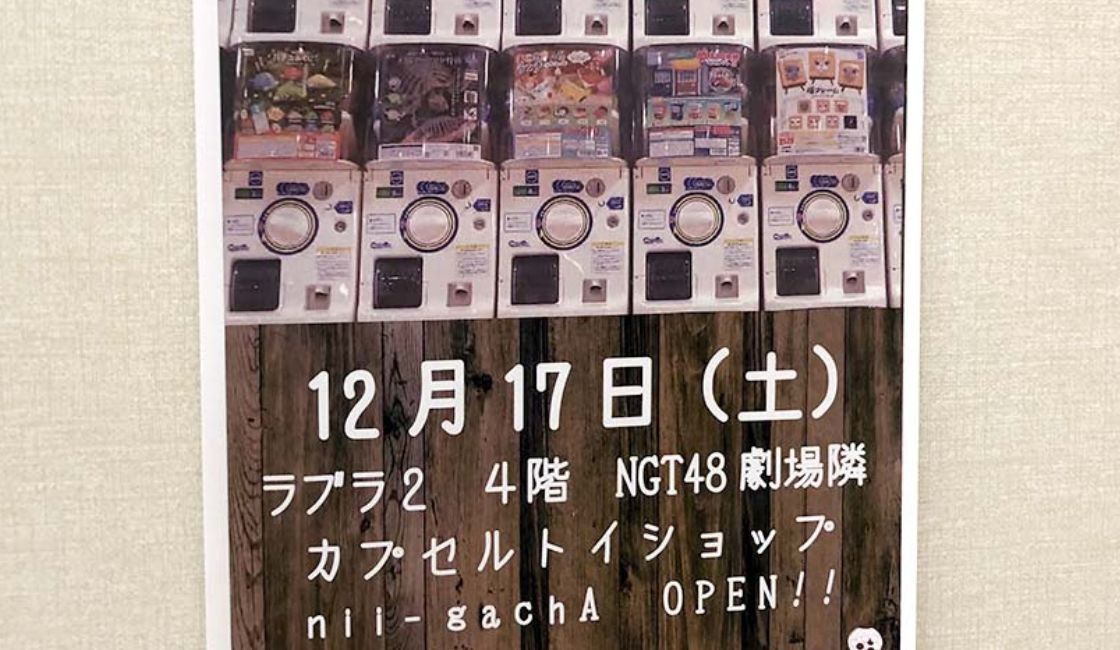 『nii-gachA』オープン告知