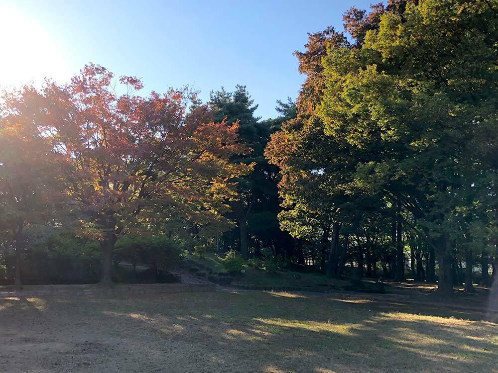 秋の亀田公園の様子