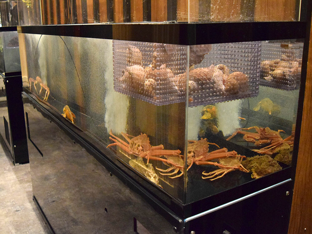 迫力ある水槽には新鮮で活きの良い蟹がたくさん