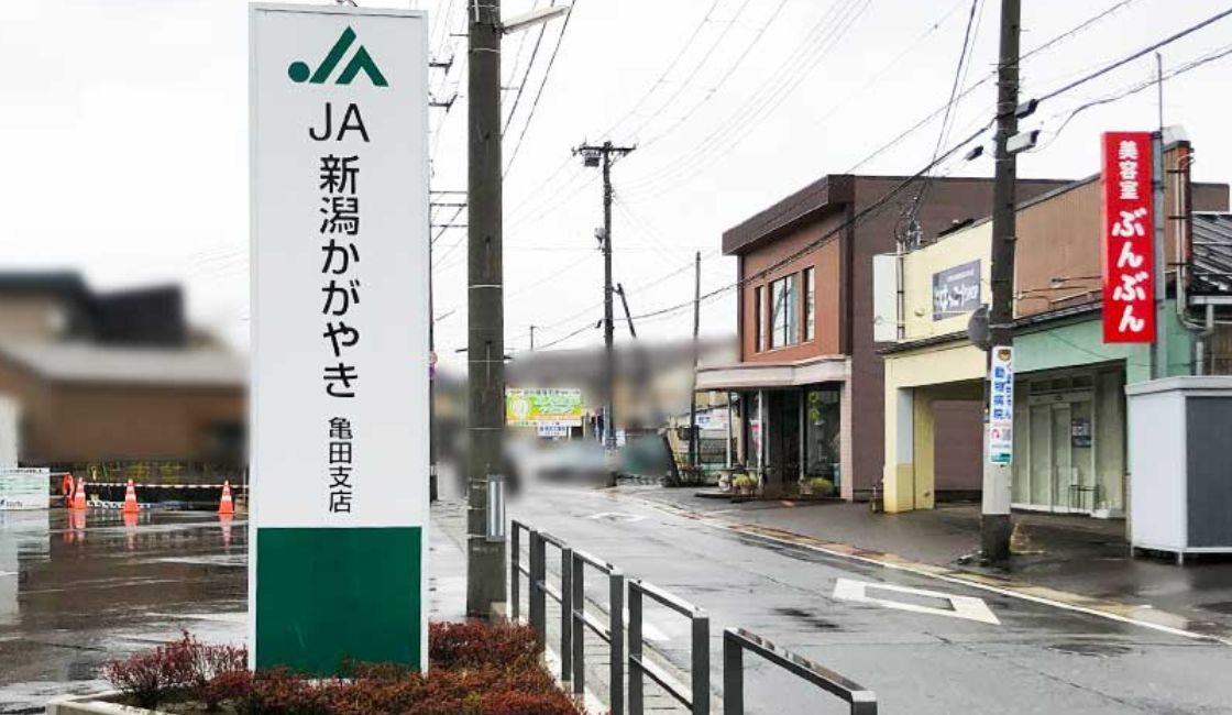 店舗前の道路（県道220号・白根亀田線）