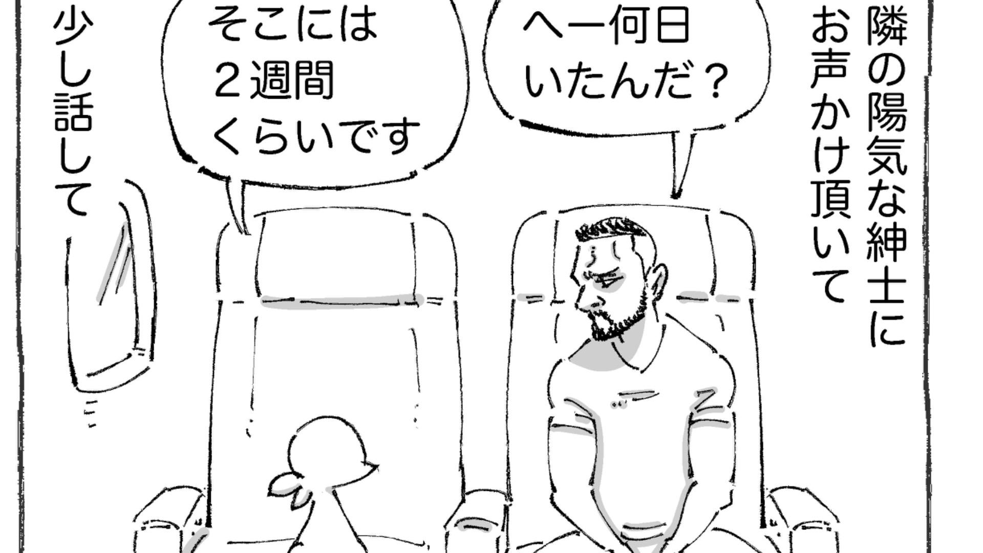 激レア❗️ジョージジェンセン❌スカンジナビア航空 ビジネス