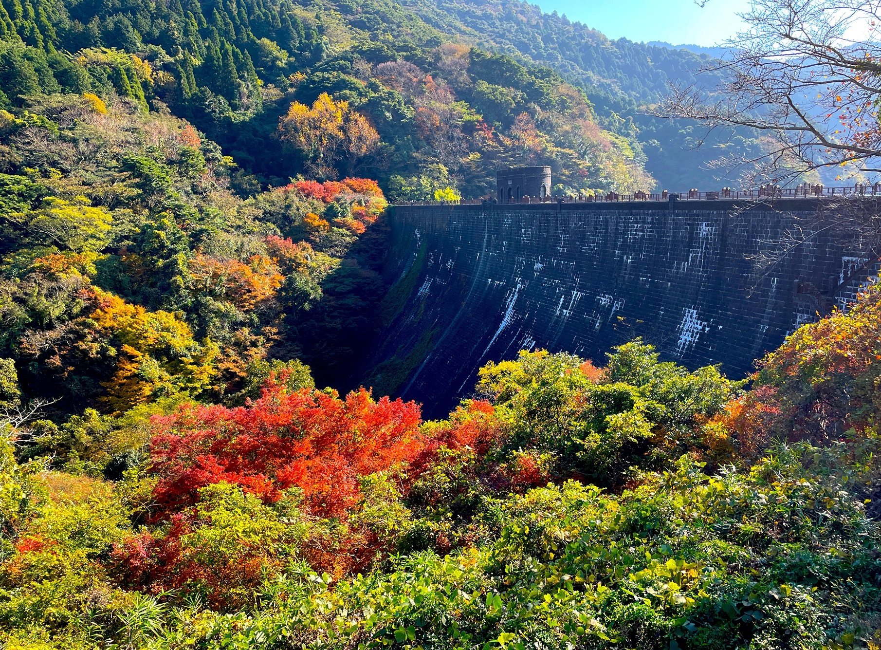 河内堰堤周囲の紅葉はまだ少し早いようです