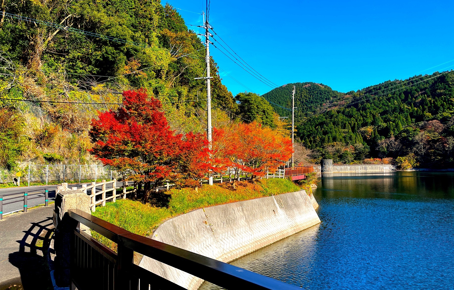 紅葉を見ながらのサイクリングも良いですね。