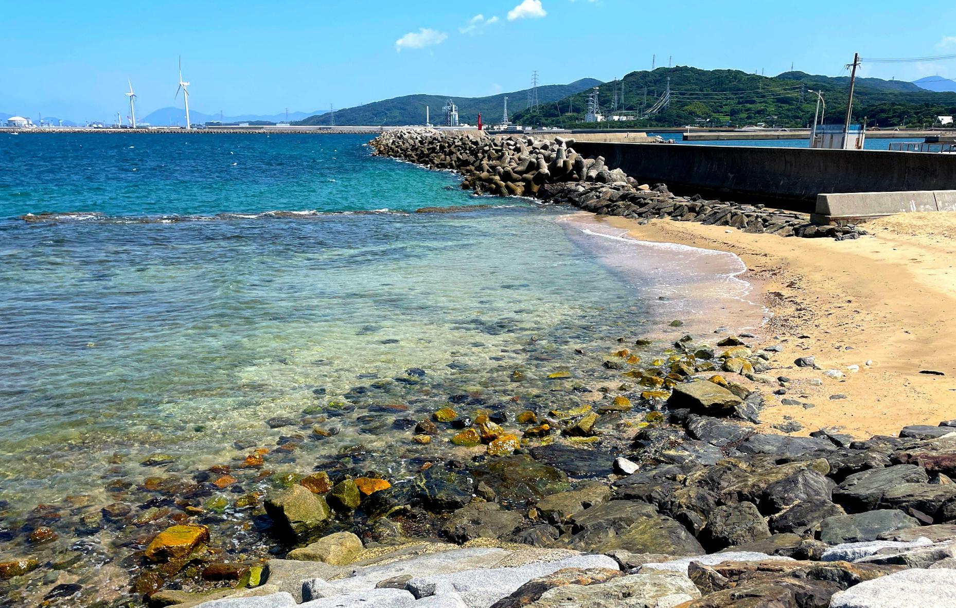 小さな子供でも遊べる浅瀬。小魚や小さなカニなども生息していてファミリーで楽しめます。