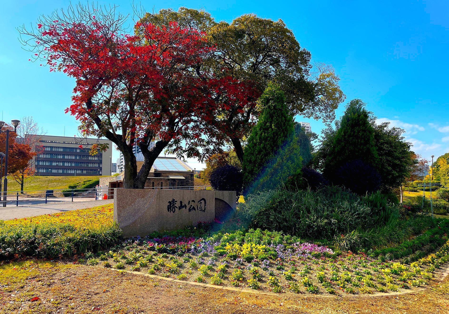 市庁舎側の入り口花壇や色づいた木々が迎えてくれます。